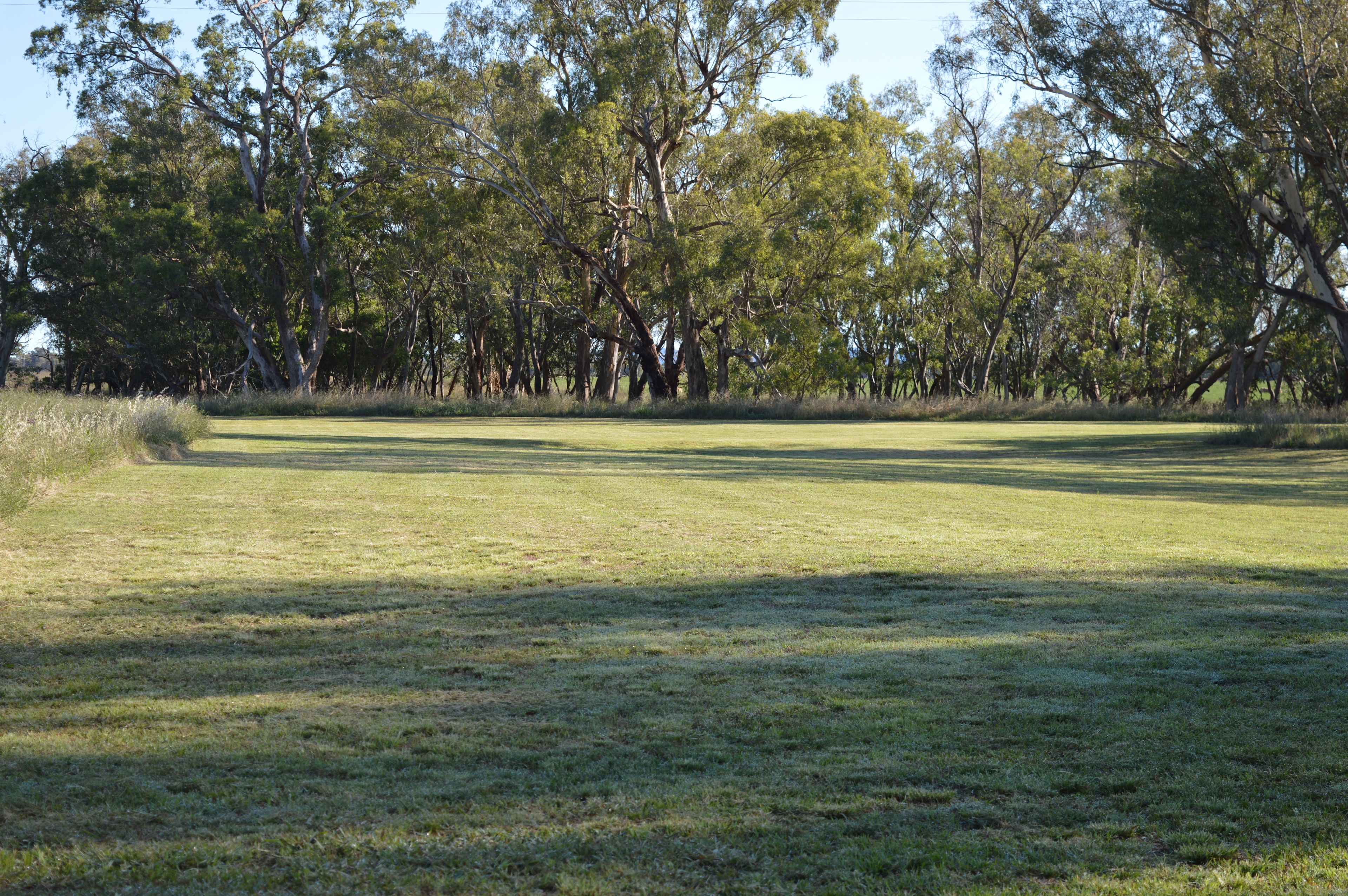 Wendouree Creek Camp
