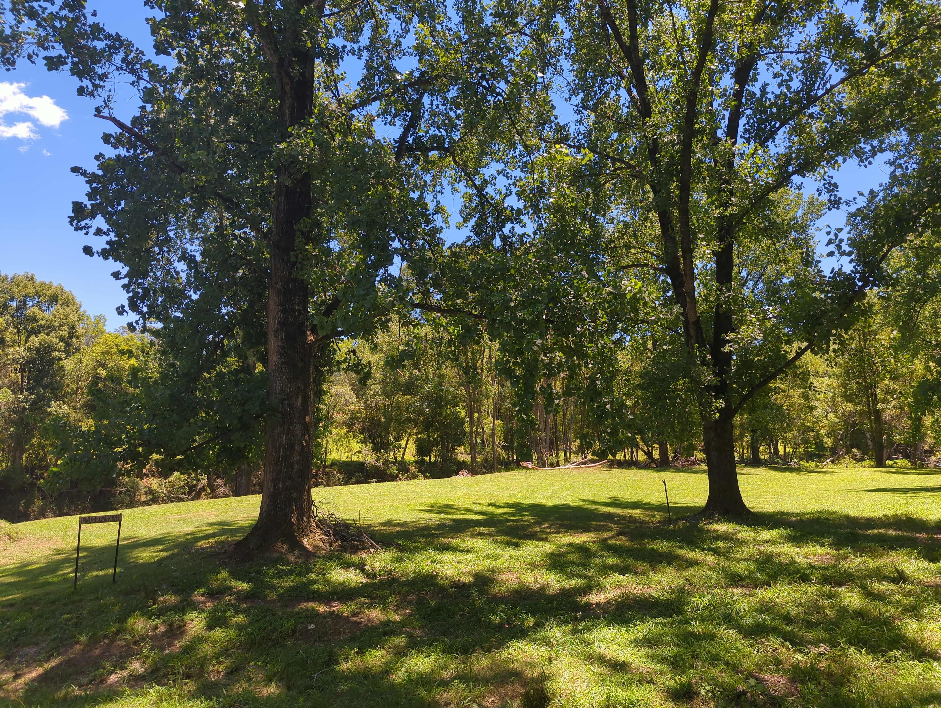 Eagles Nest Hideaway, Pecan Fields