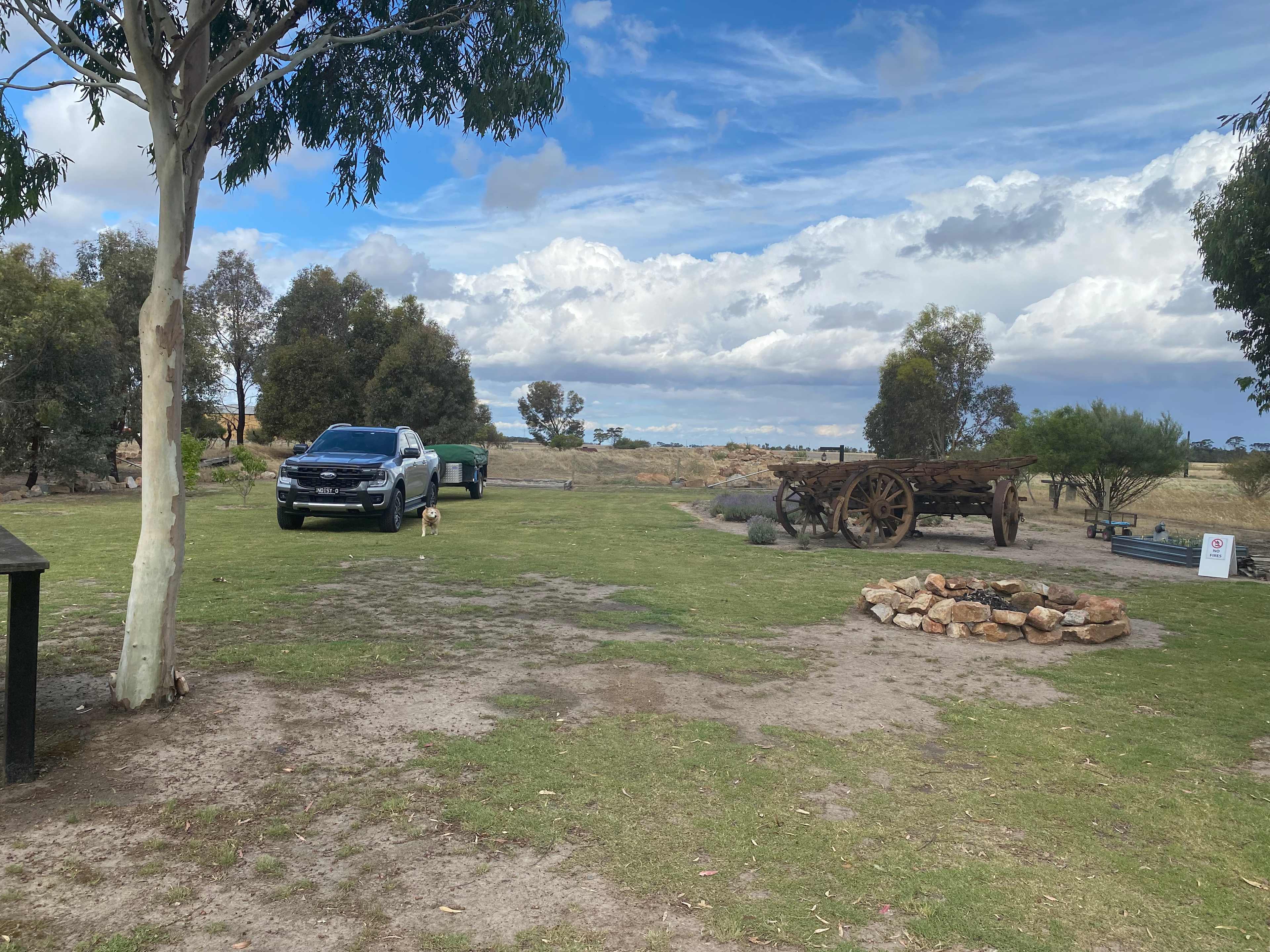 Picture of the site