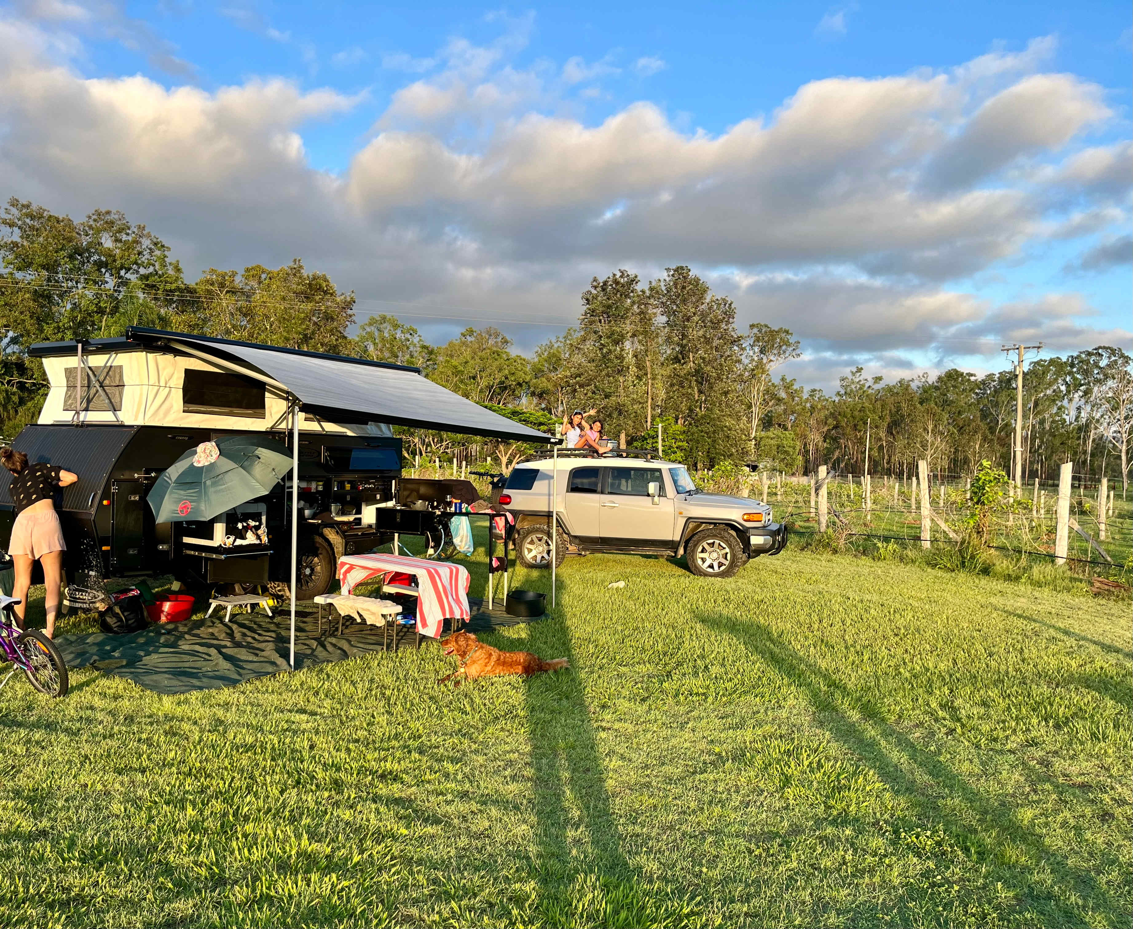 Setup near the grape vines having mango smoothies