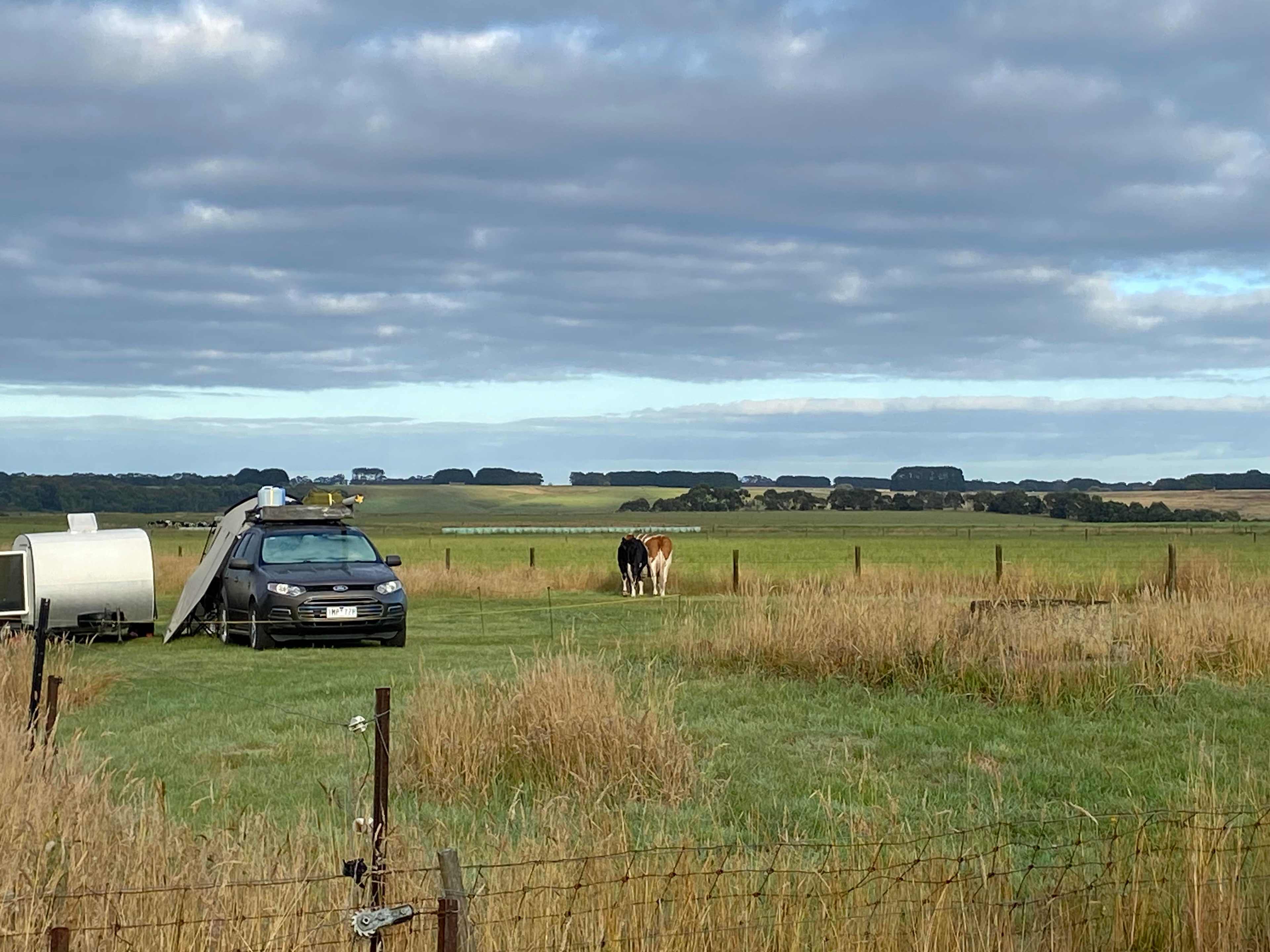 FeatherLeaf Sanctuary