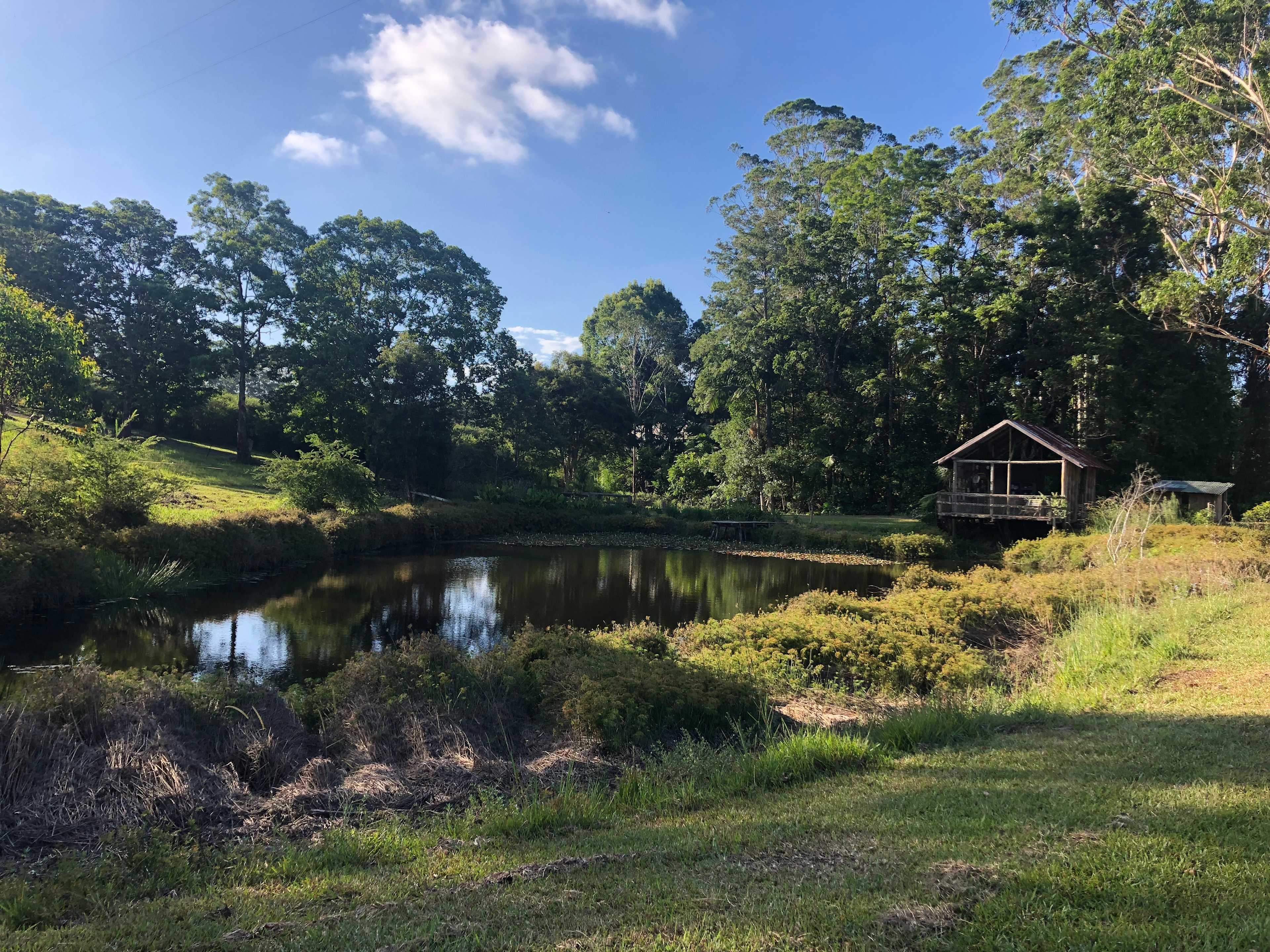 Bucca Valley Blueberries Farmstay