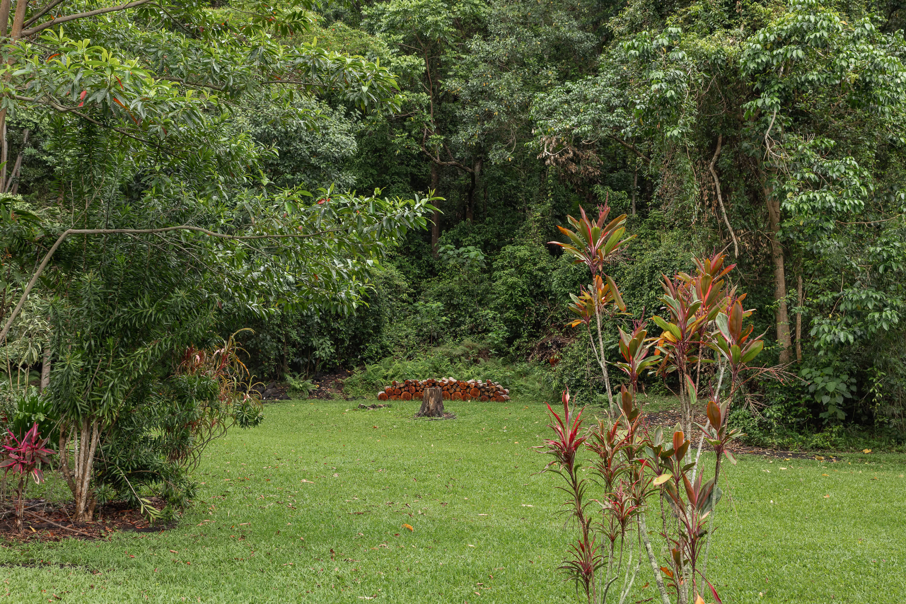 Forest Fields Campstay