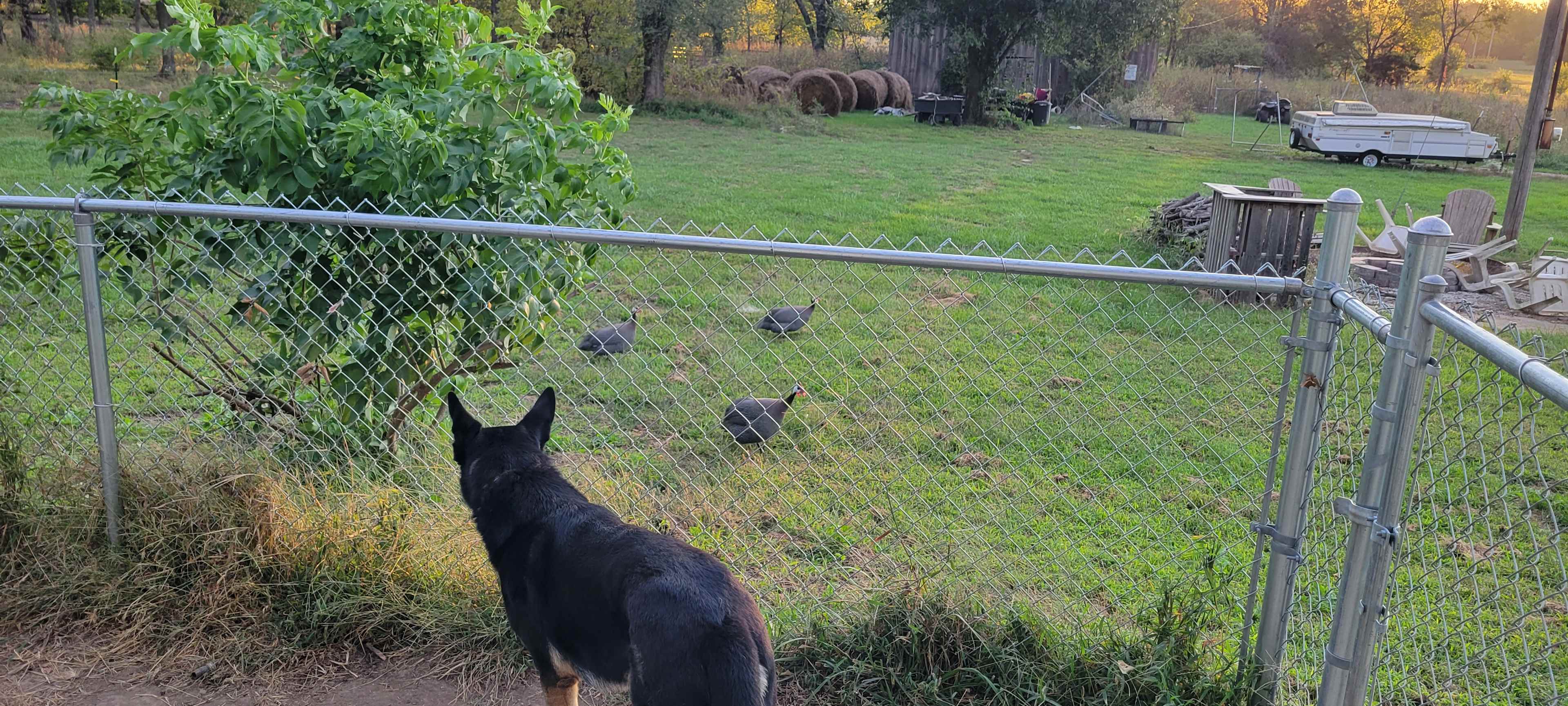 Roach Ranch