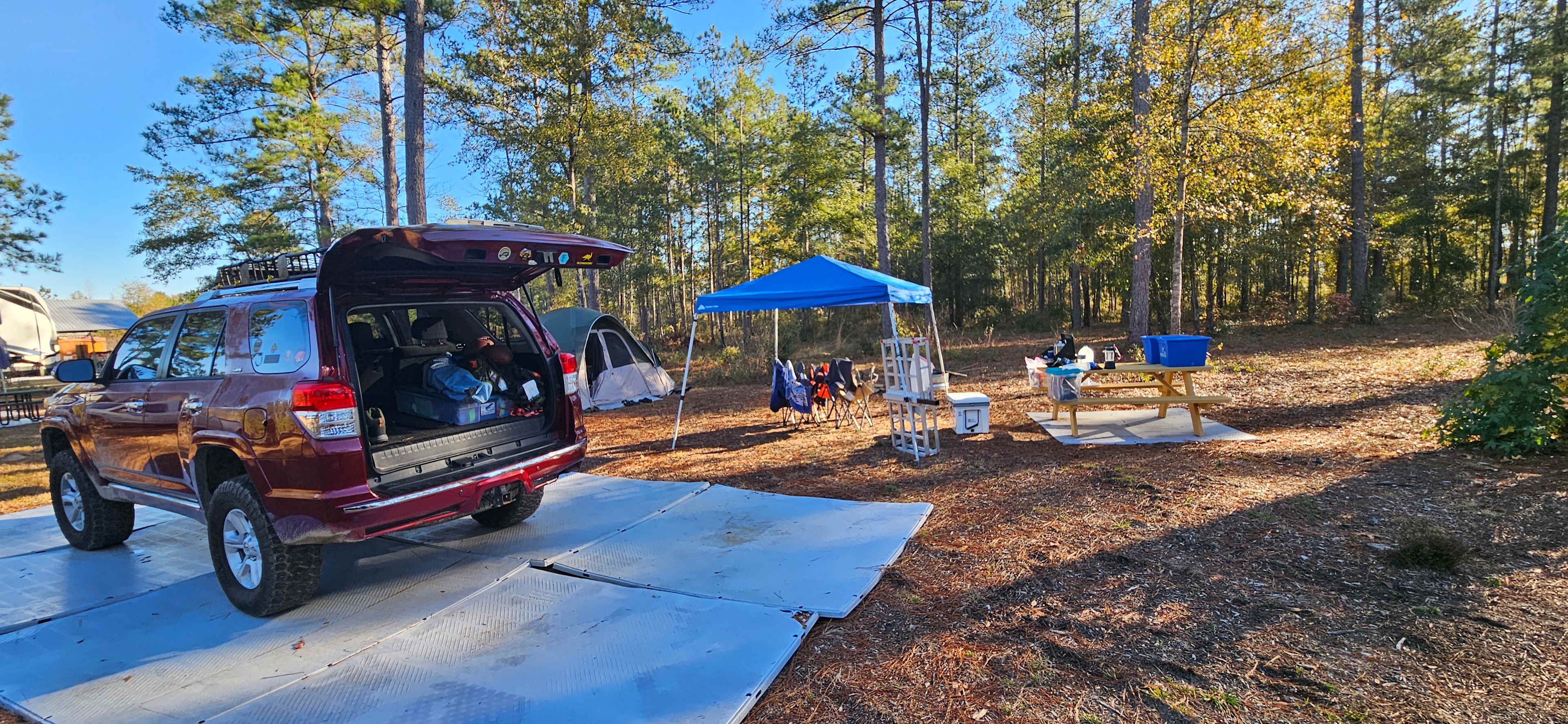Picture of the site