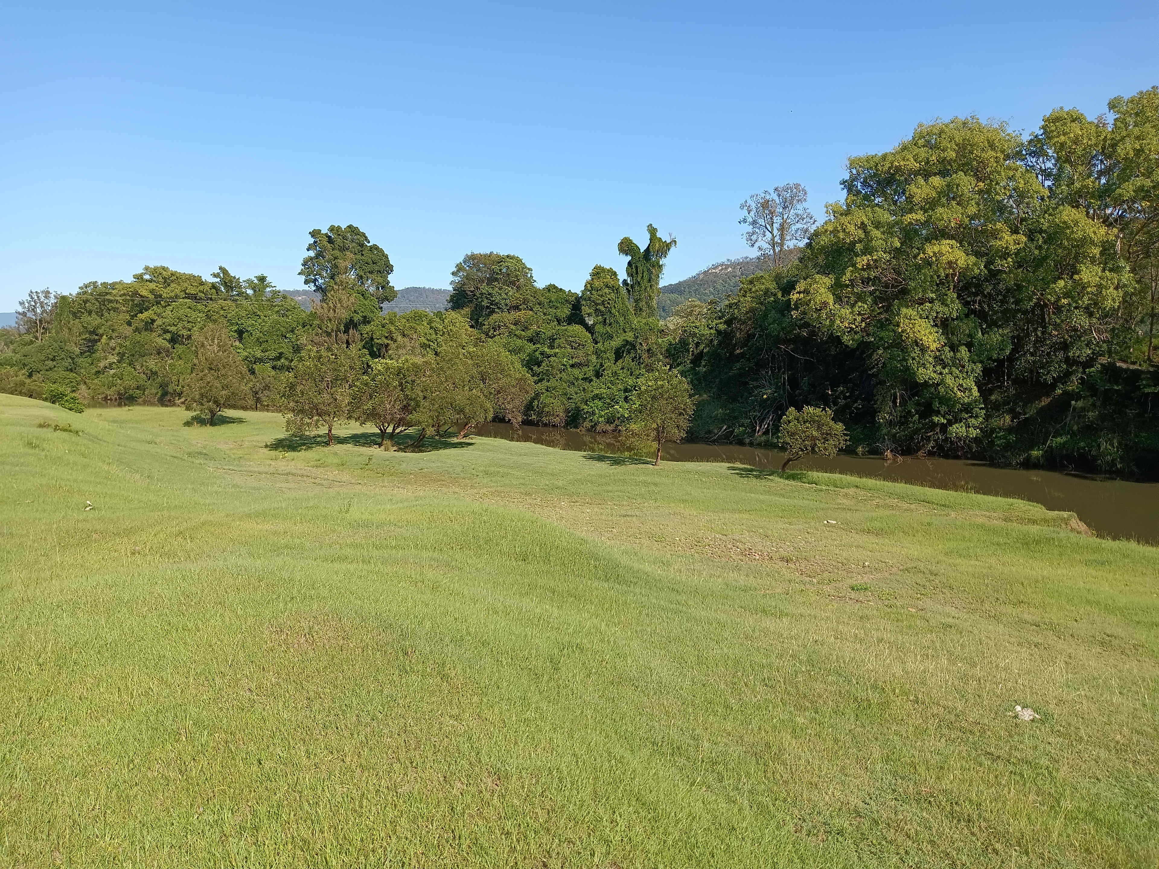 McKenzies Mountain, Wollumbin