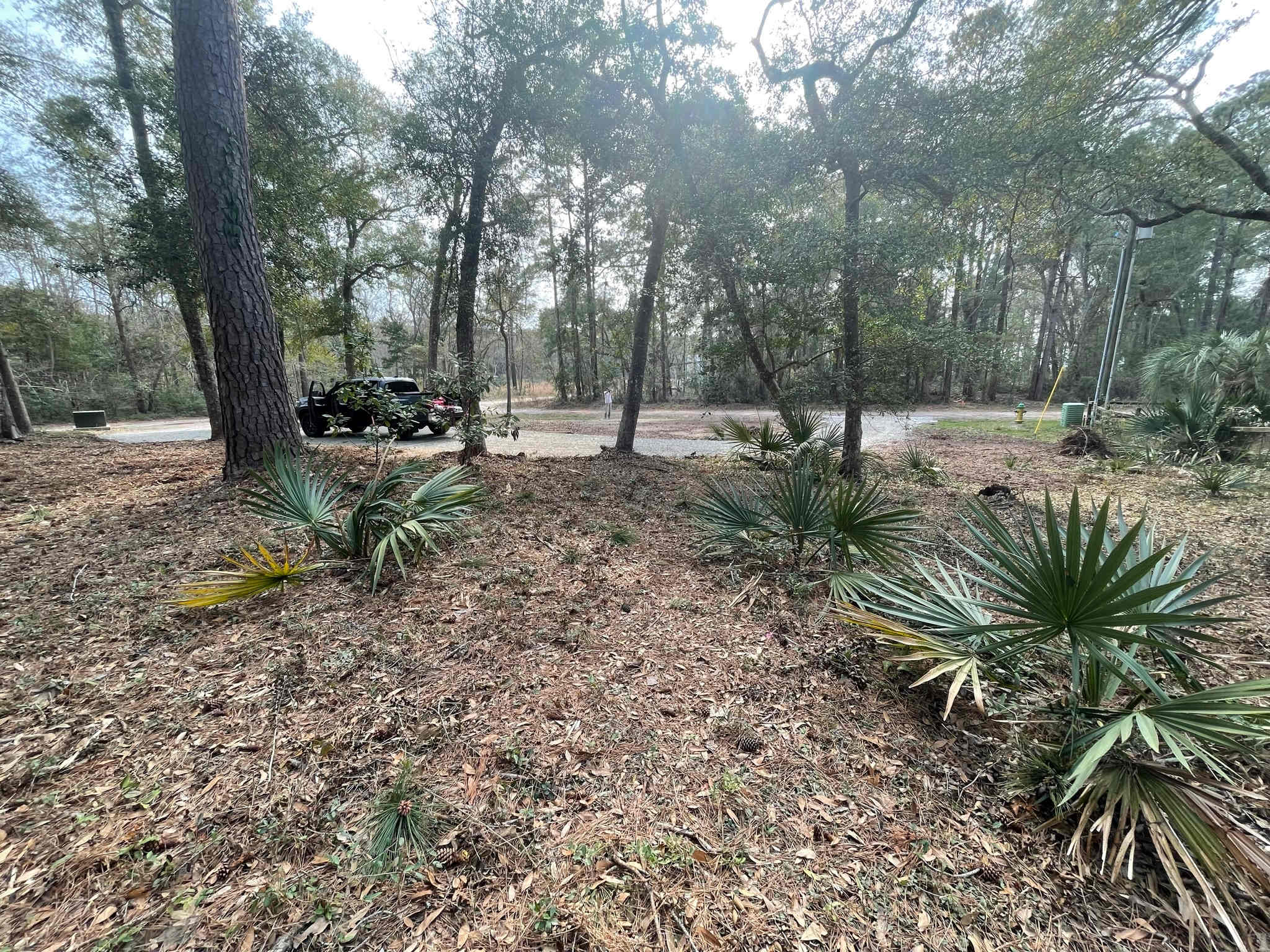 View from the rear of property looking towards the road.