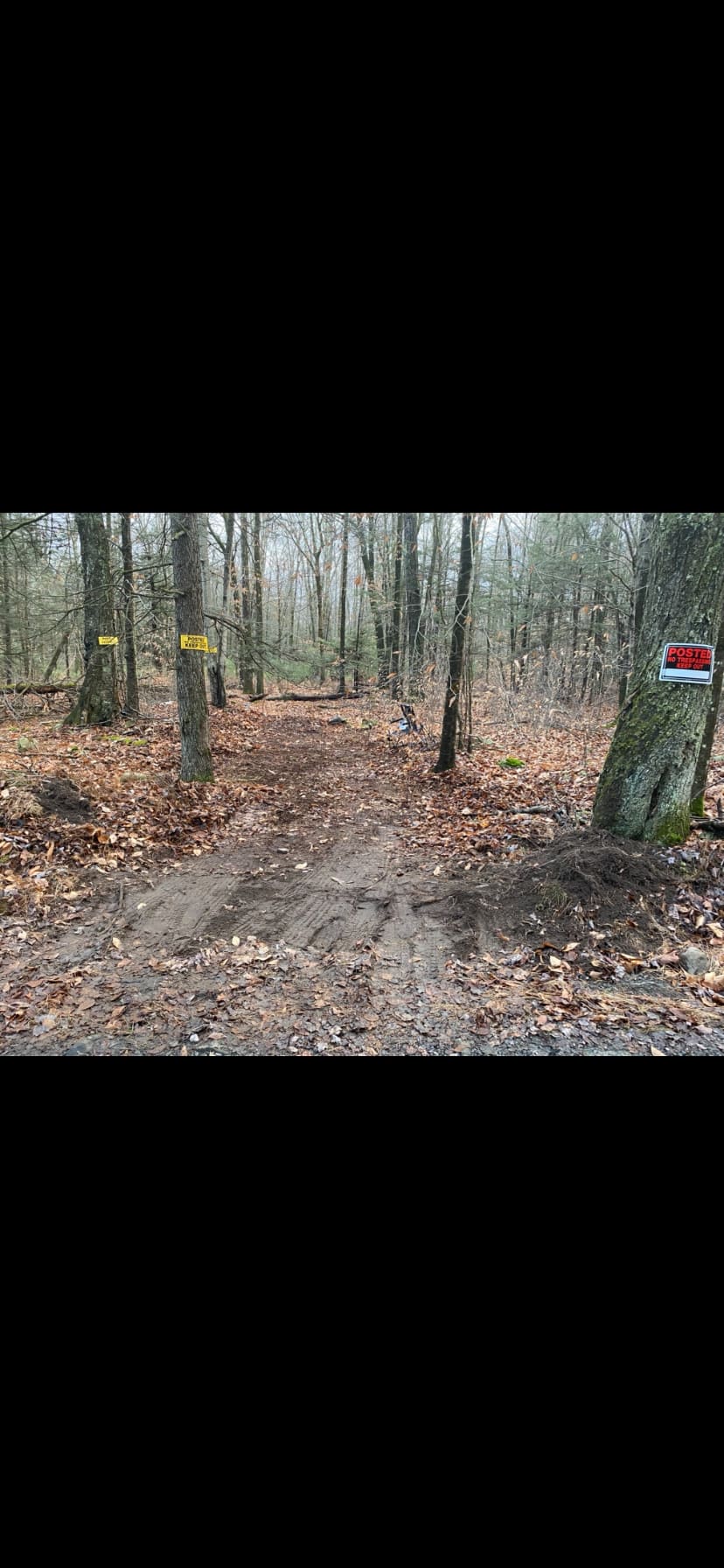Sweet spot