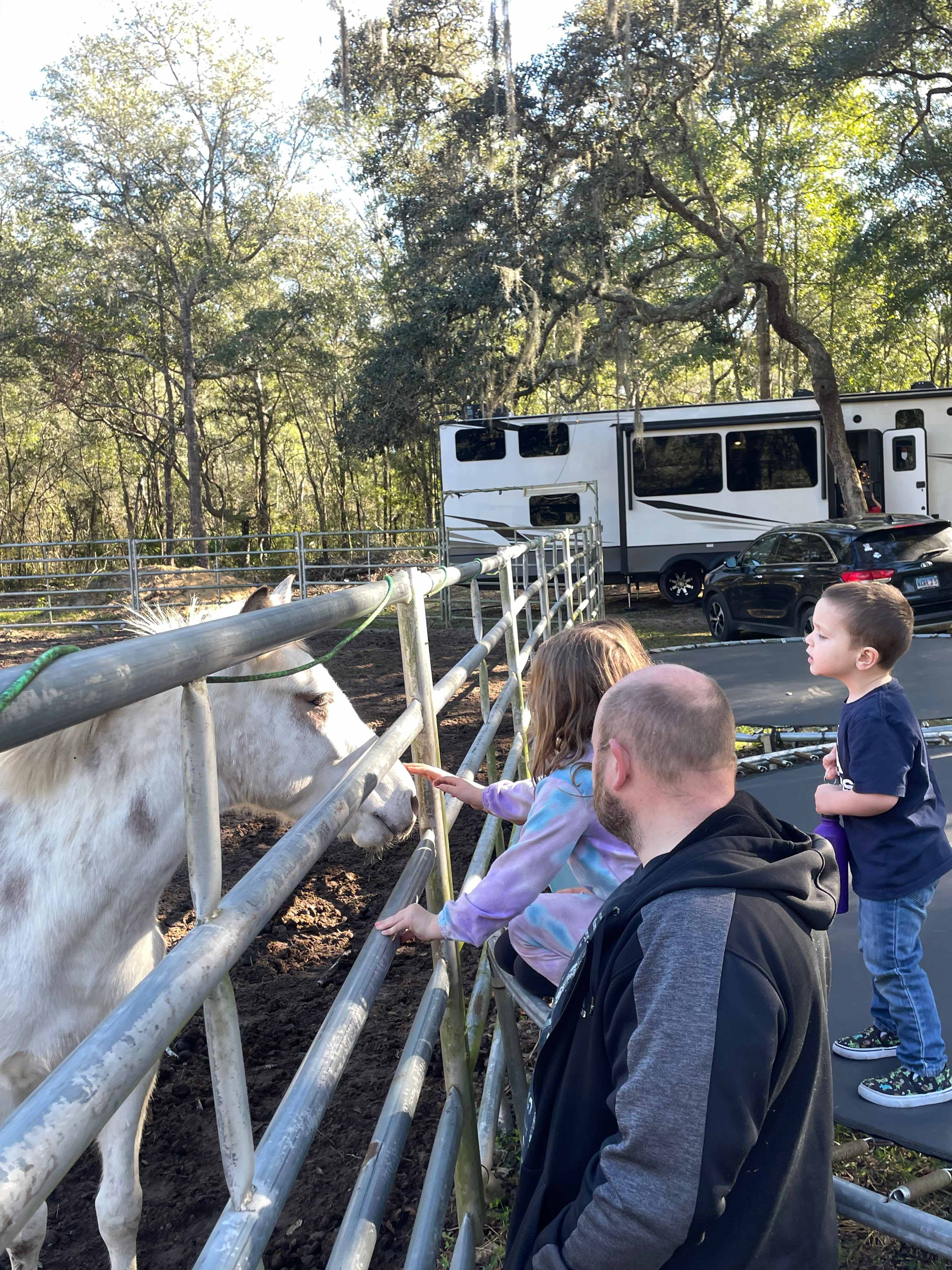 horse arena stalls trails rv spots