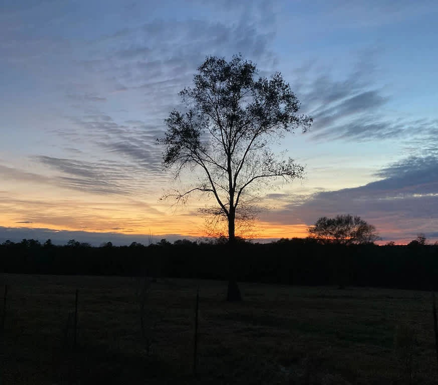 Hobby Ranch