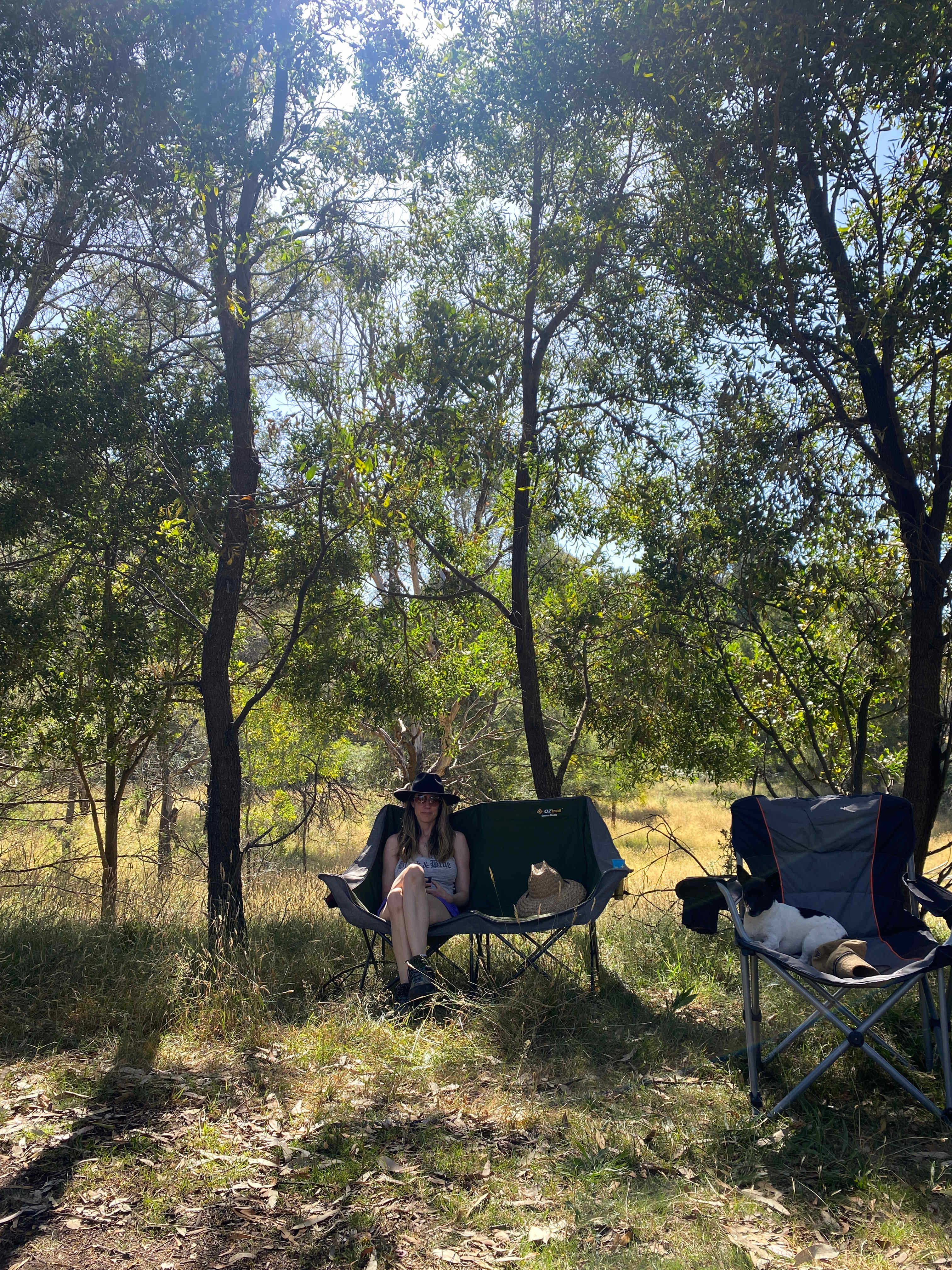 Reedy Creek Camping