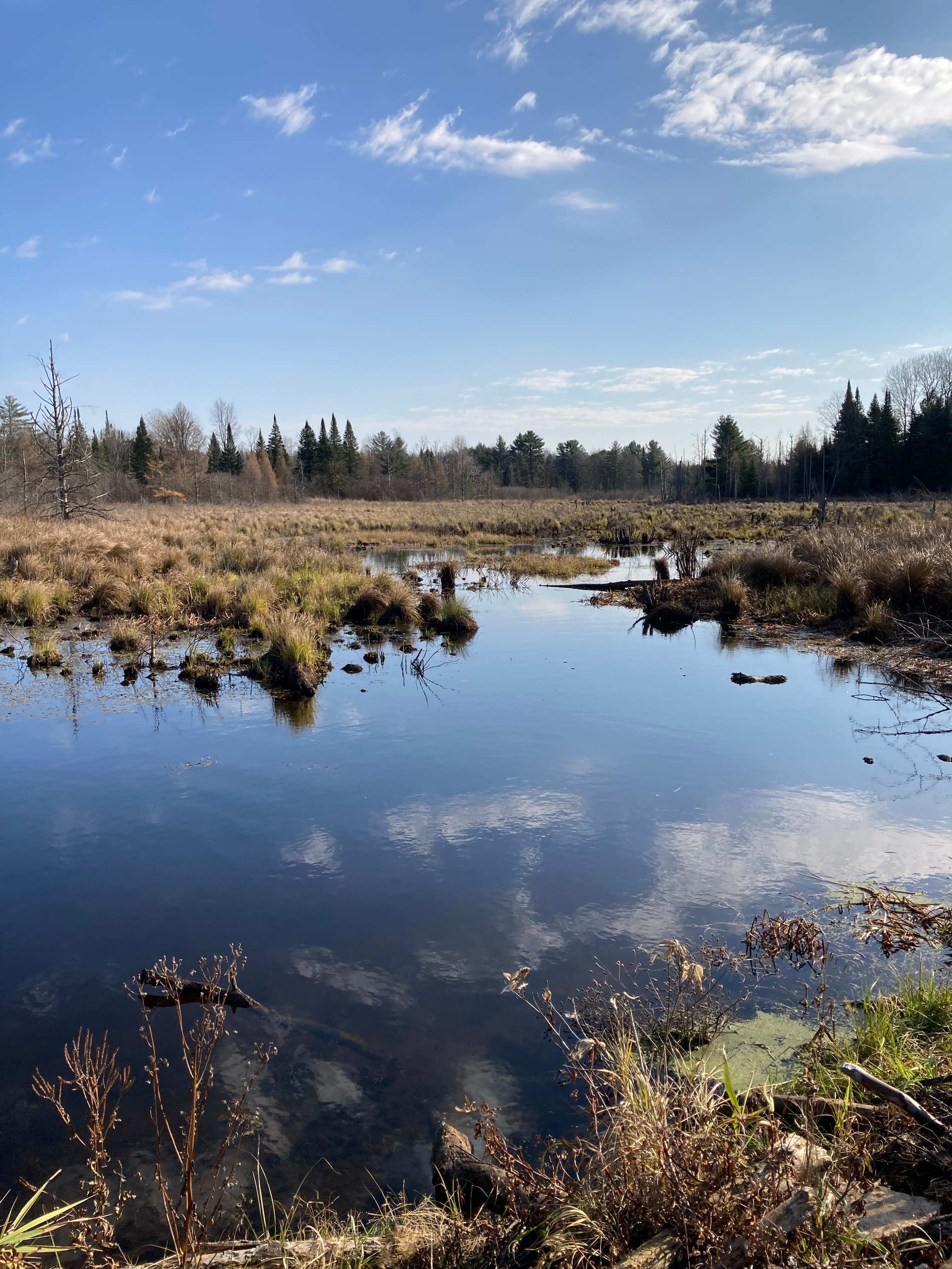 Ricky’s Pine River hunt/camp