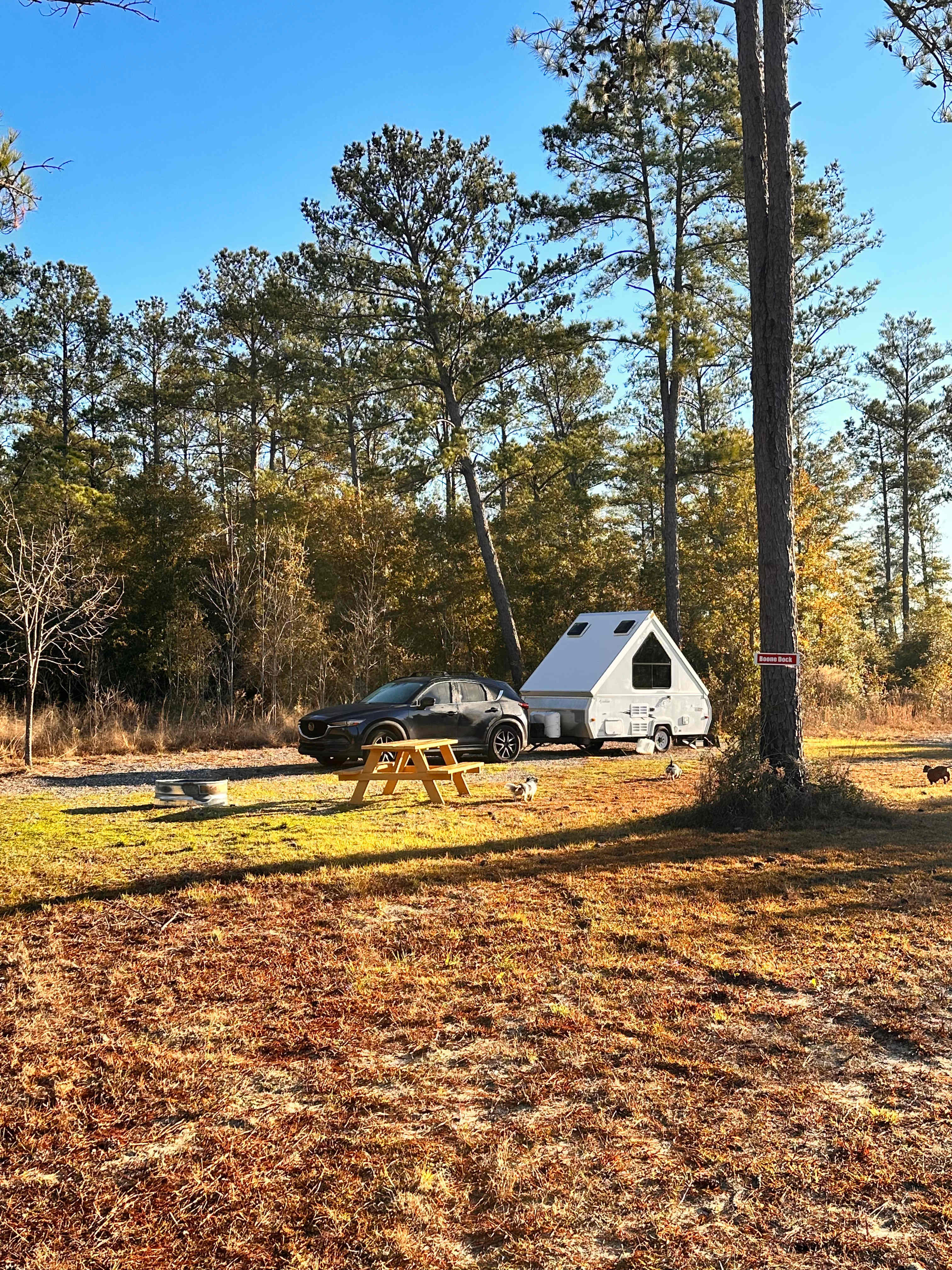 Picture of the site