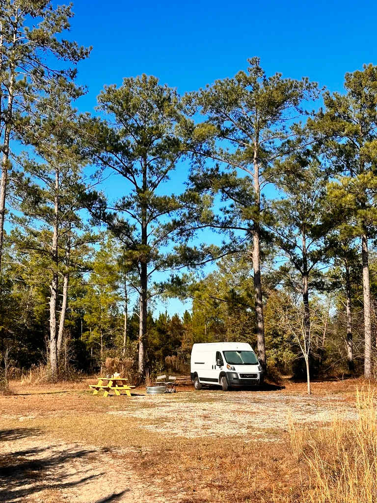 Picture of the site