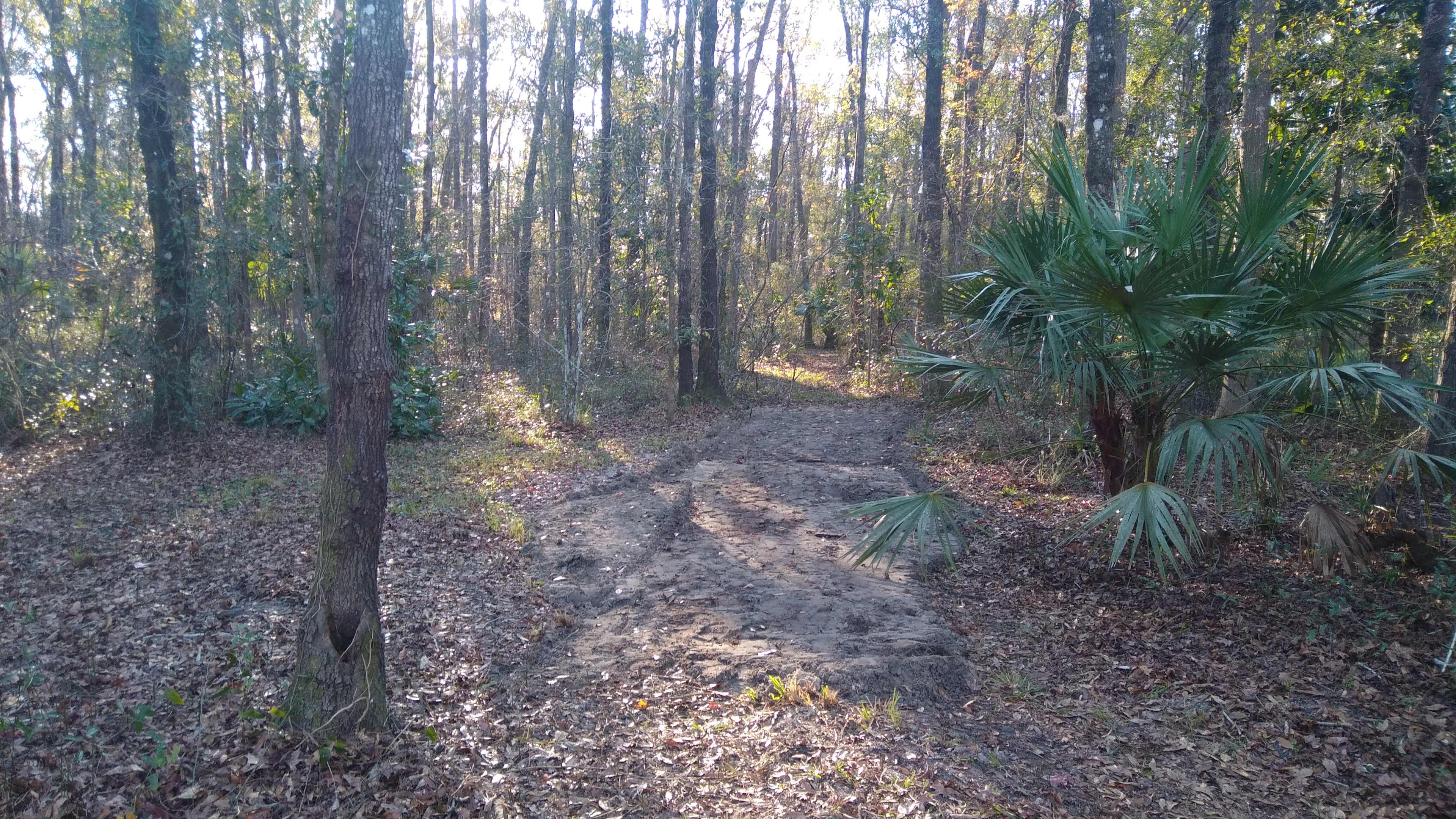 Cedar Ford Retreat