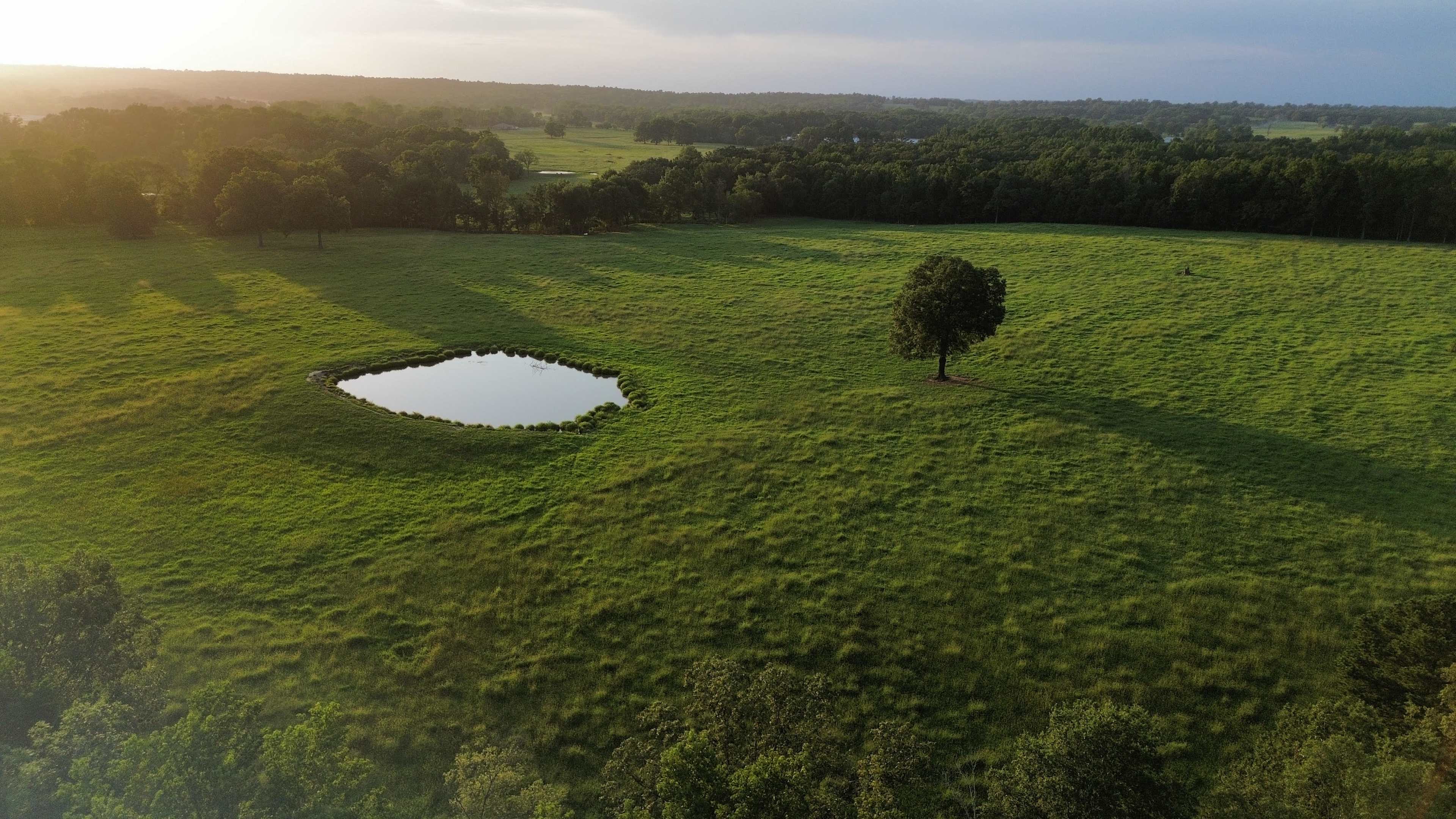 High Point Ranch