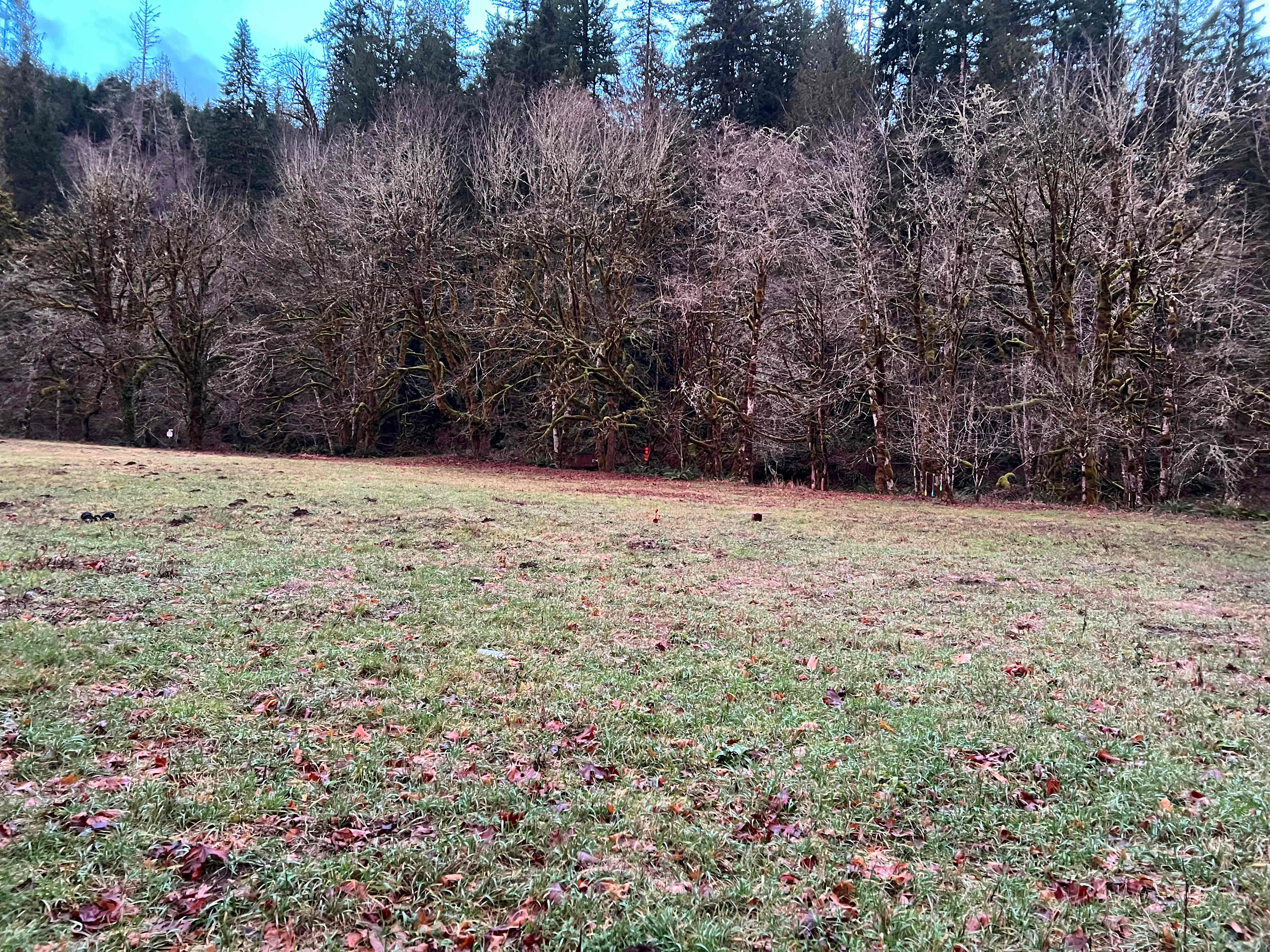 Keesee River Property