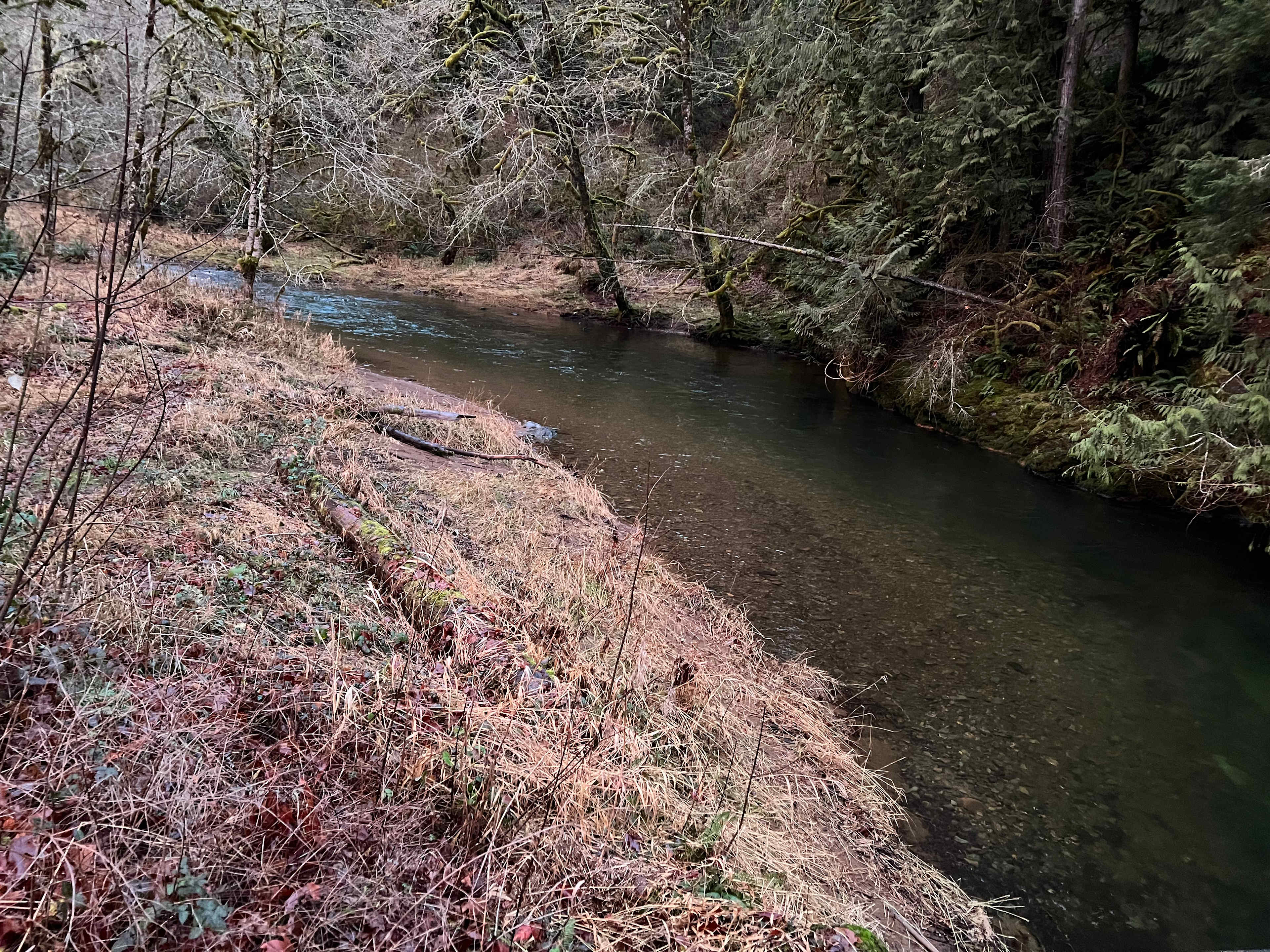 Keesee River Property