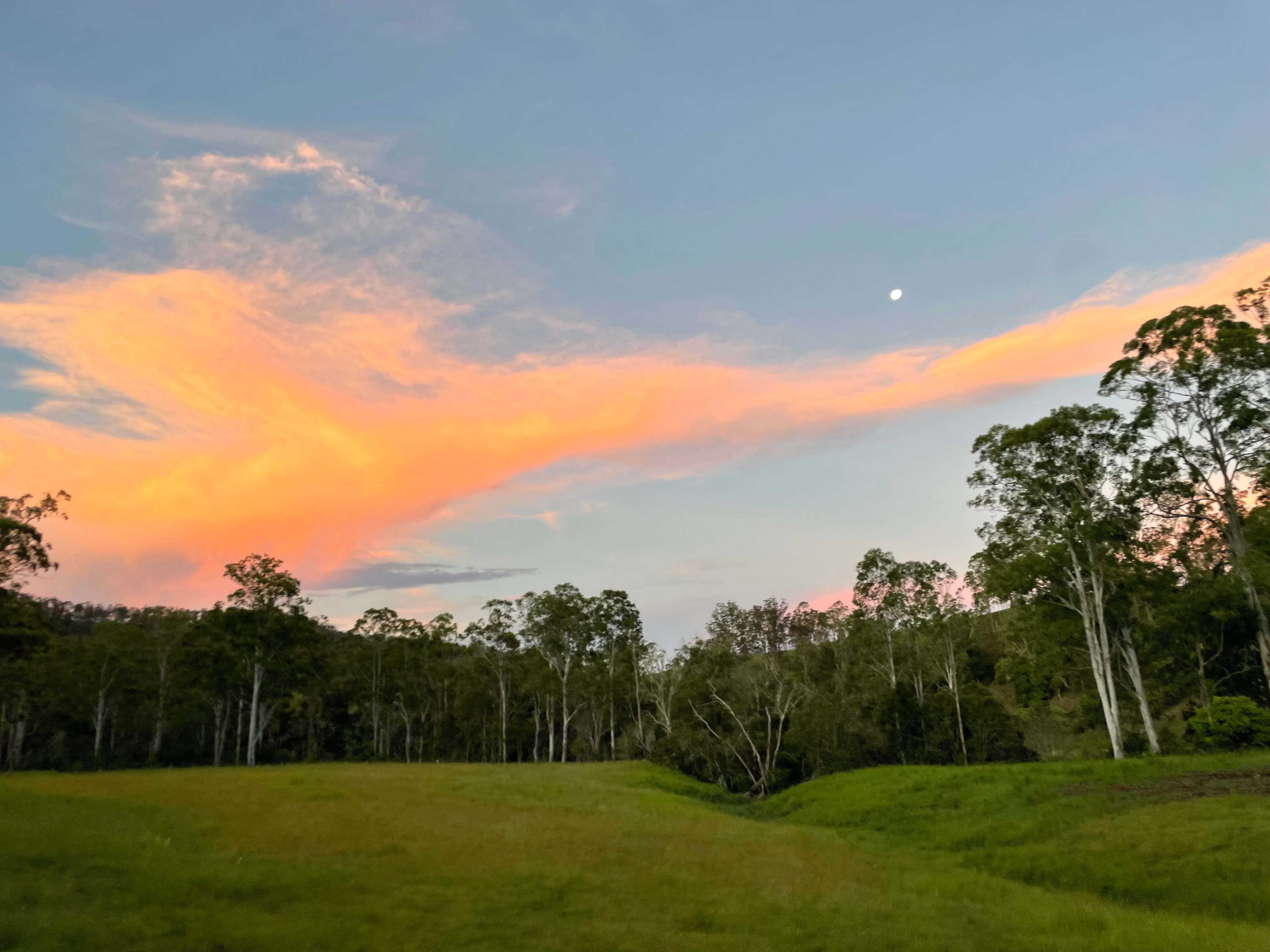 Riverside Privacy - 200 acres 4 you