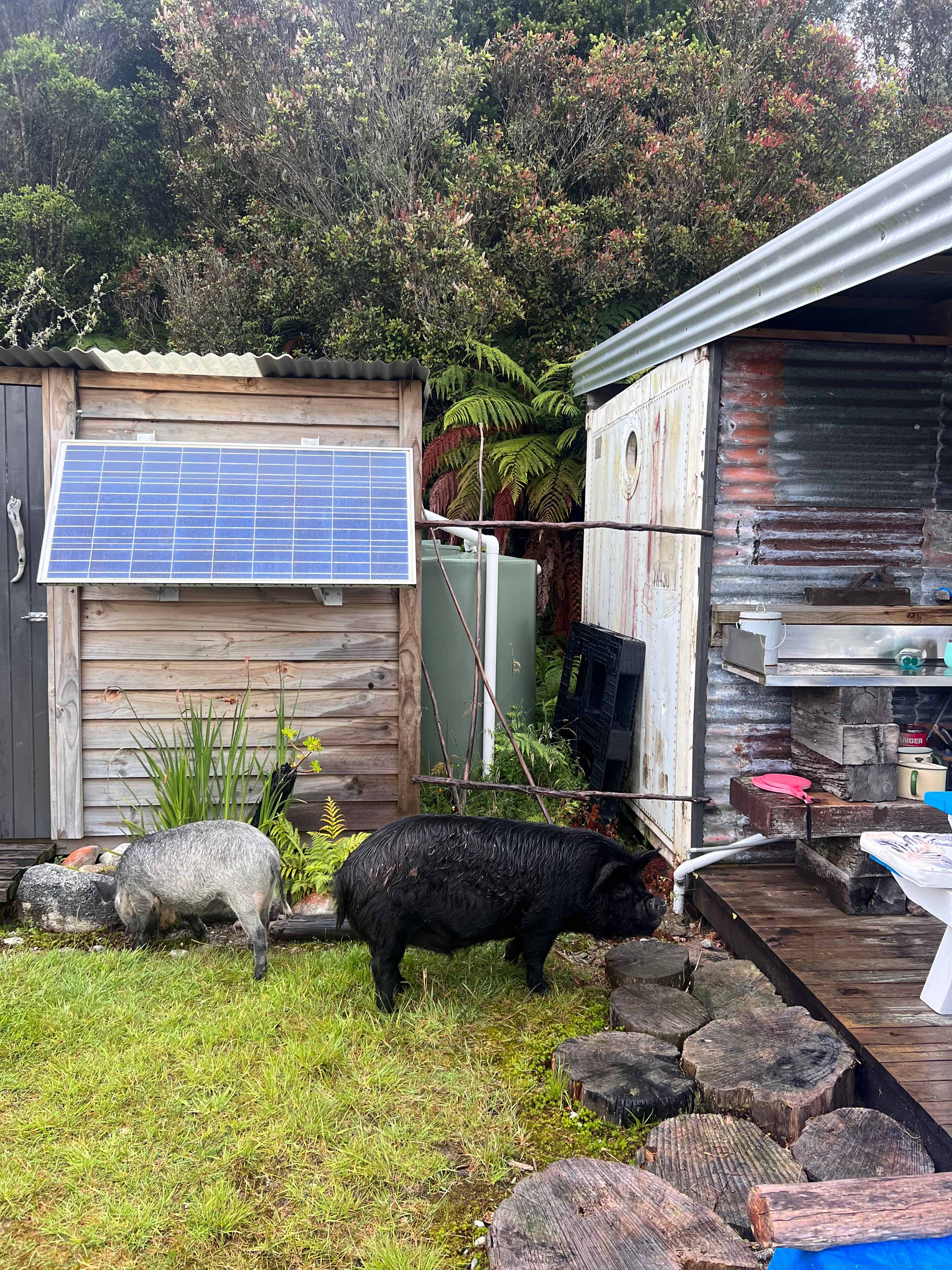 Blue Spur Farmstay Hokitika