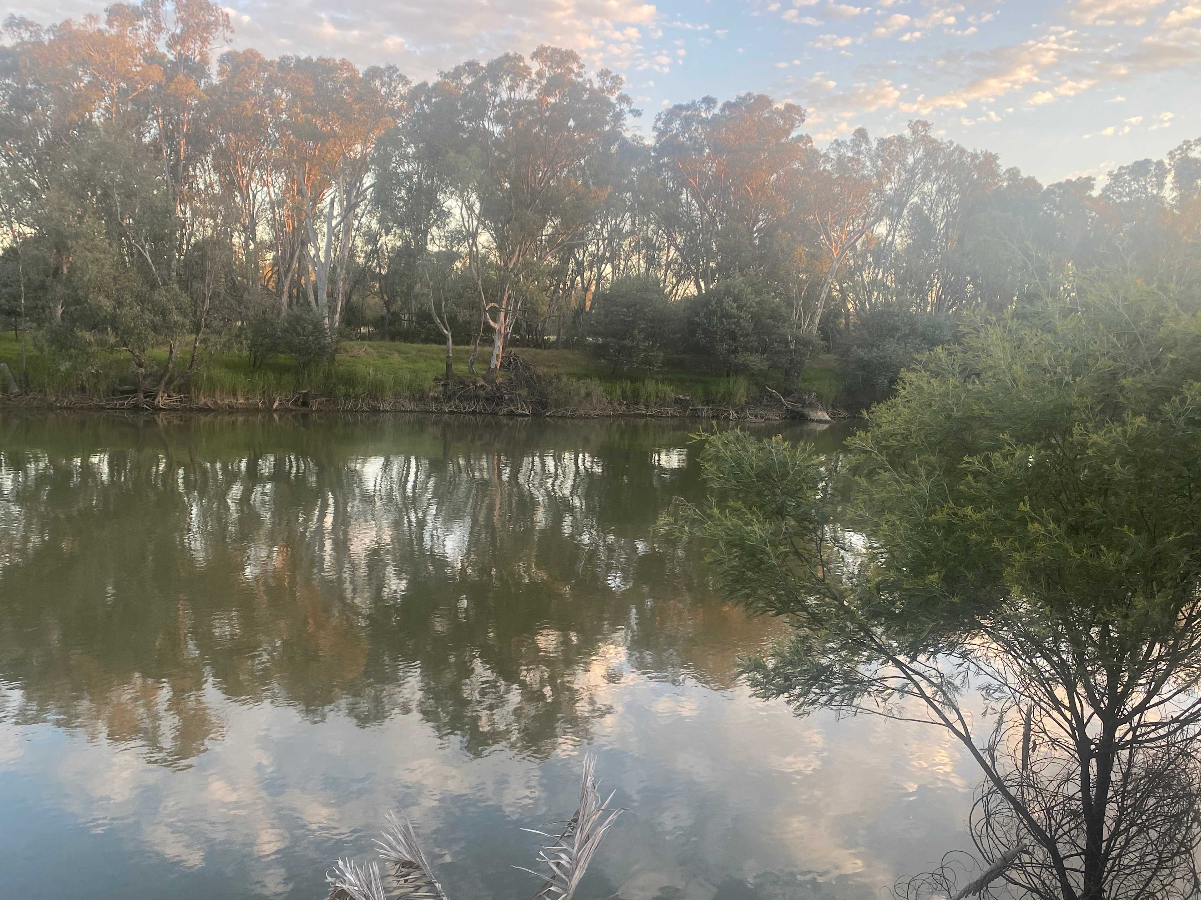 Banks of the Murray, Corowa