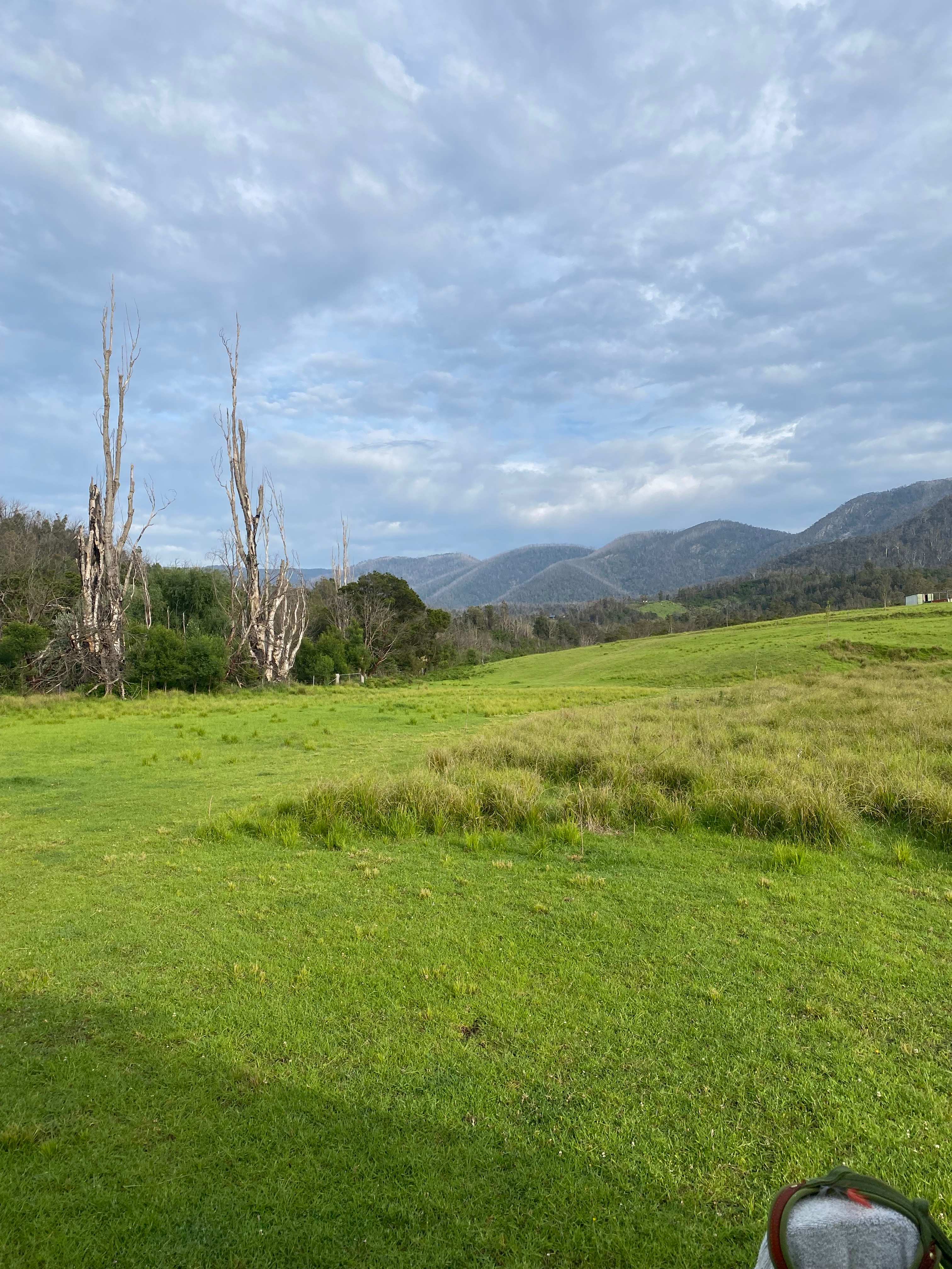Misty Mountain Wildlife Refuge