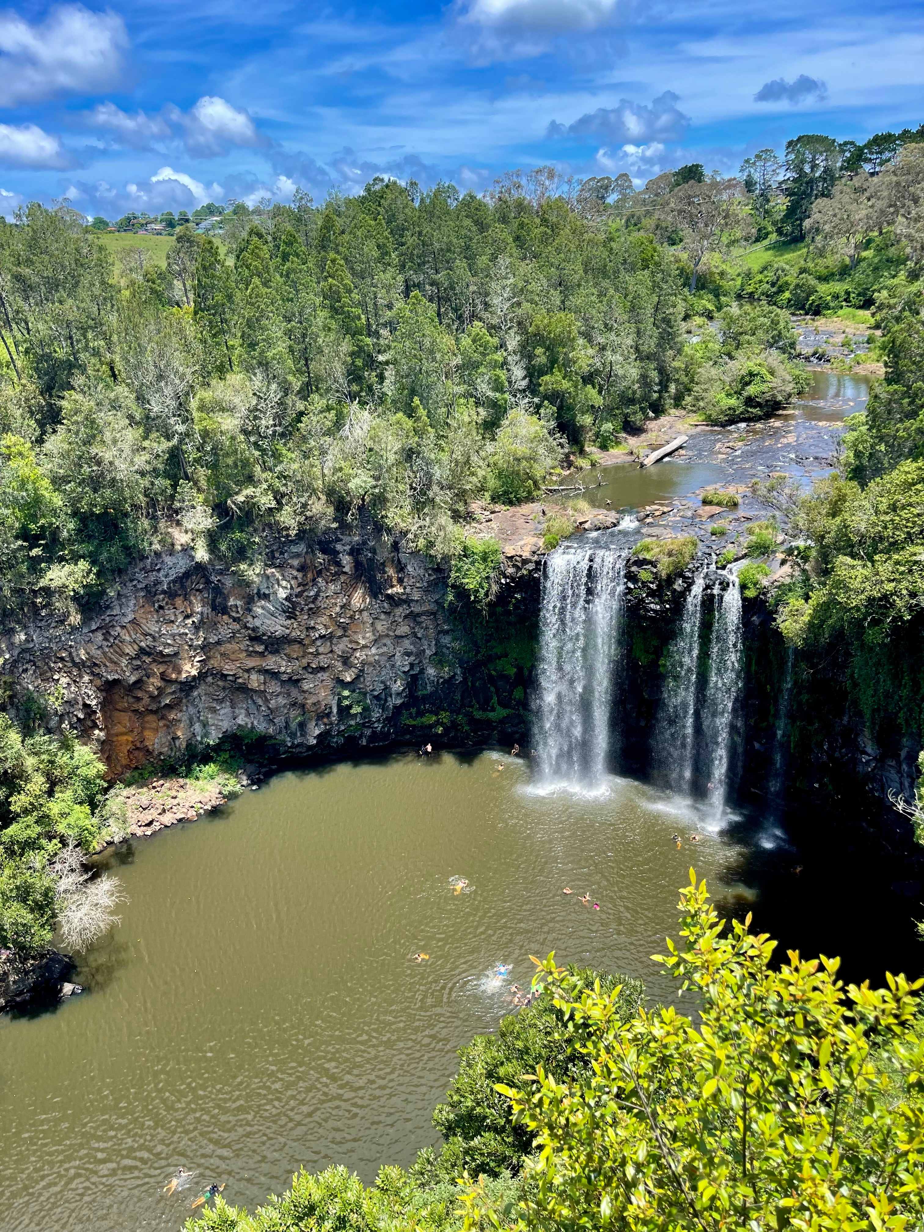 Dangar Falls Dorrigo 