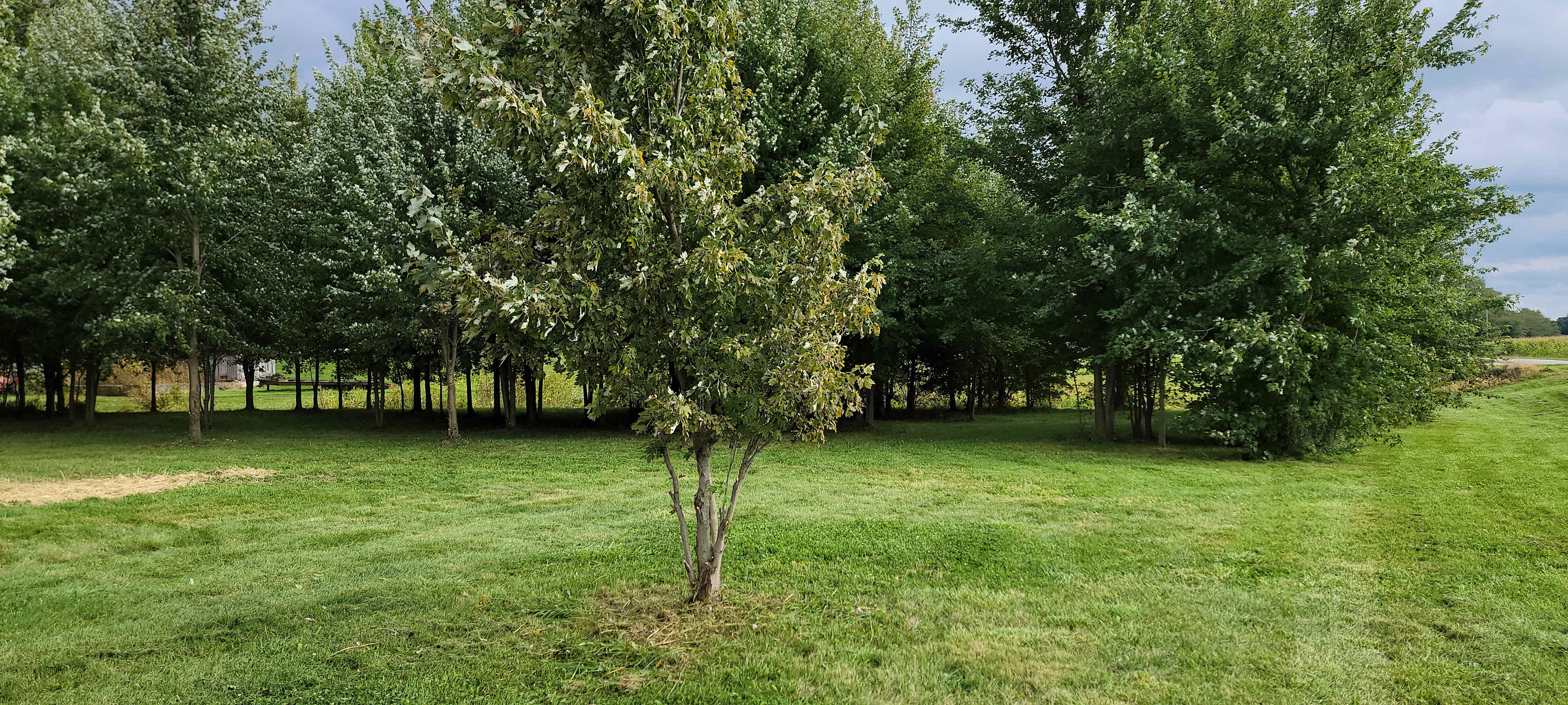Scott and Amy's Rural Respite