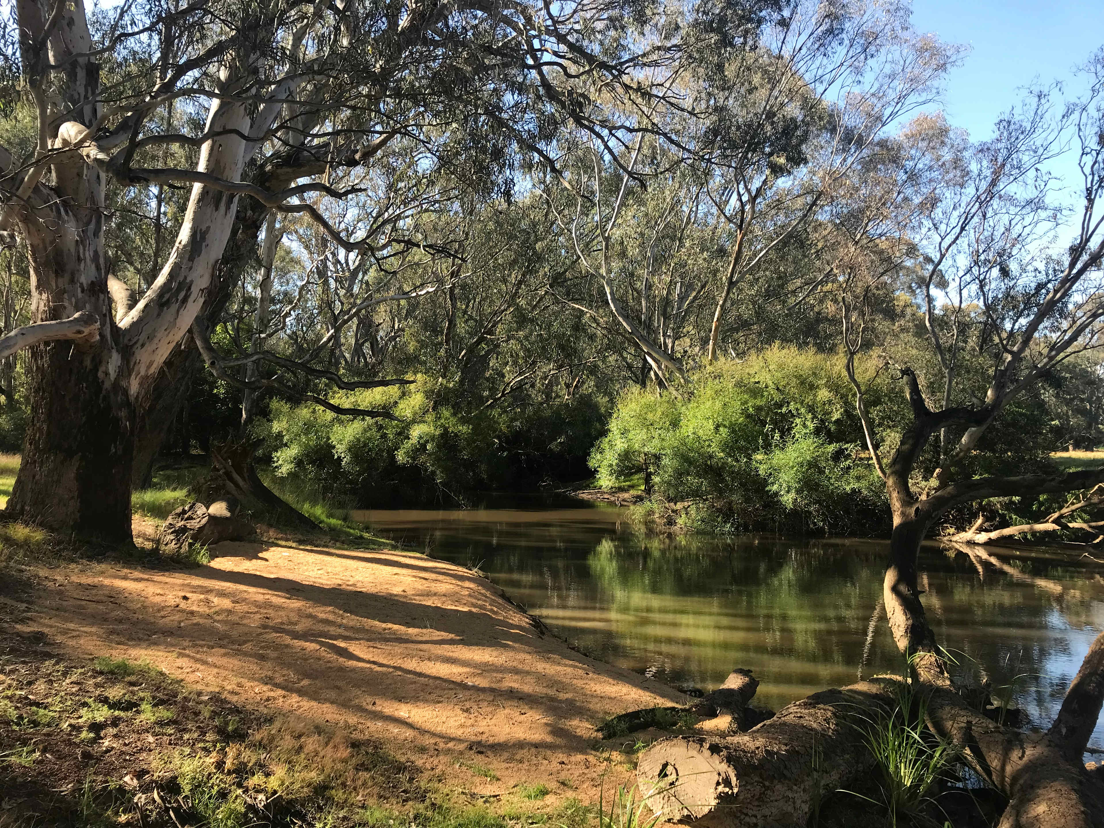 Swimming hole White Cedar Site