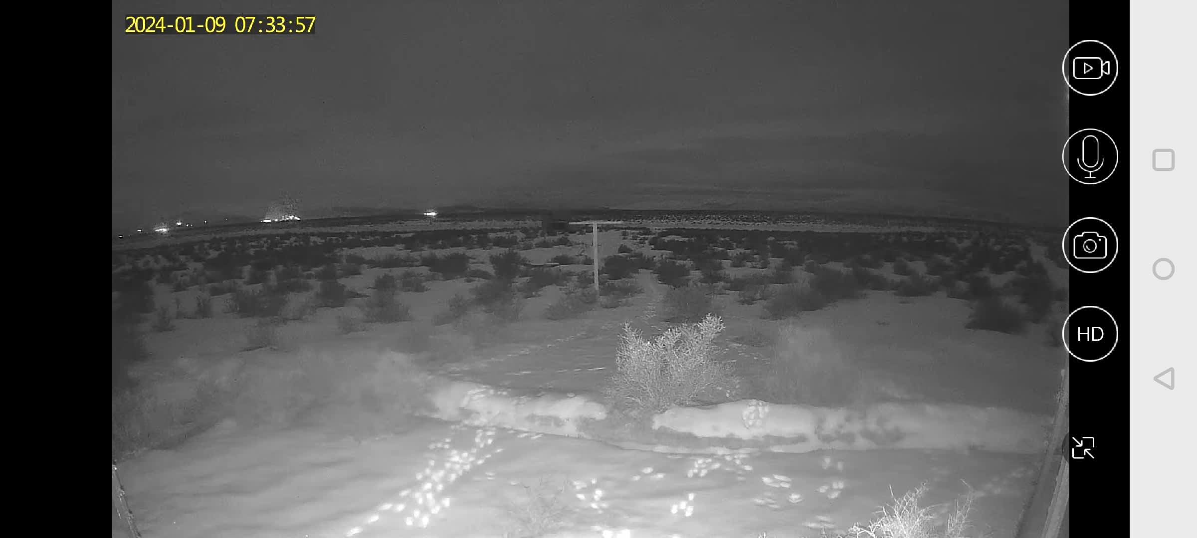 Anyone for some snowmobile camping??? How about cross country skiing? So many adventures and excitement here at Antelope Run Ranch. Time/Date stamped 