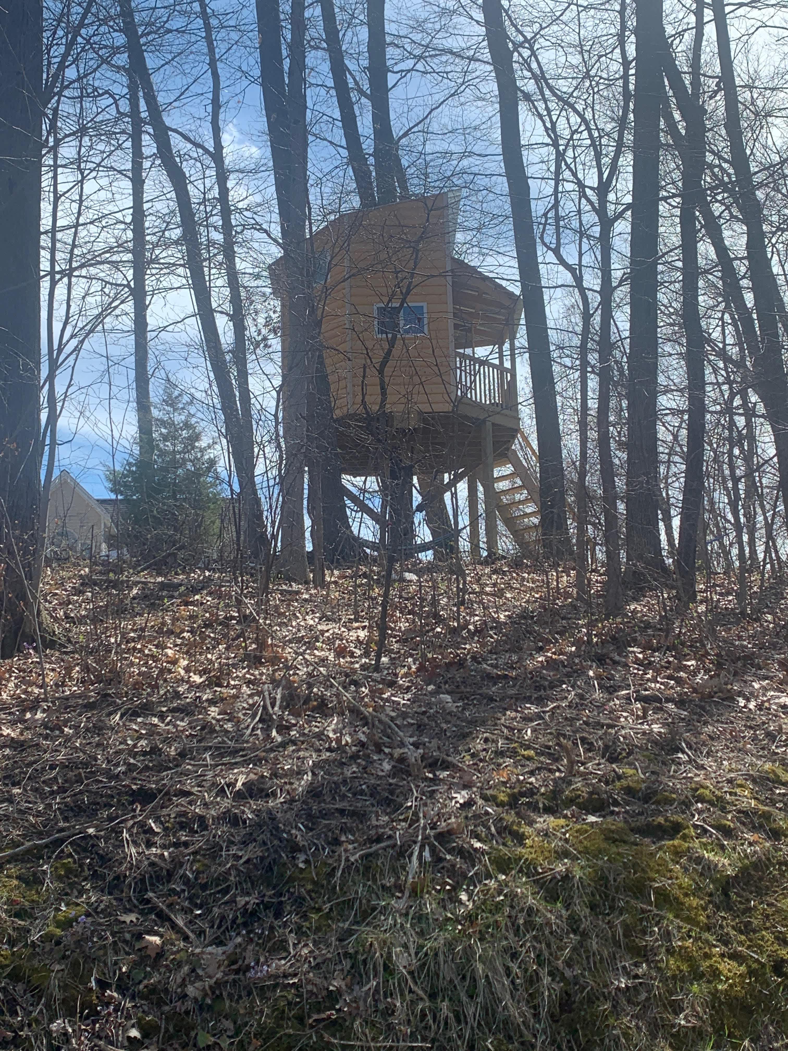 Treasure Hunt Treehouse