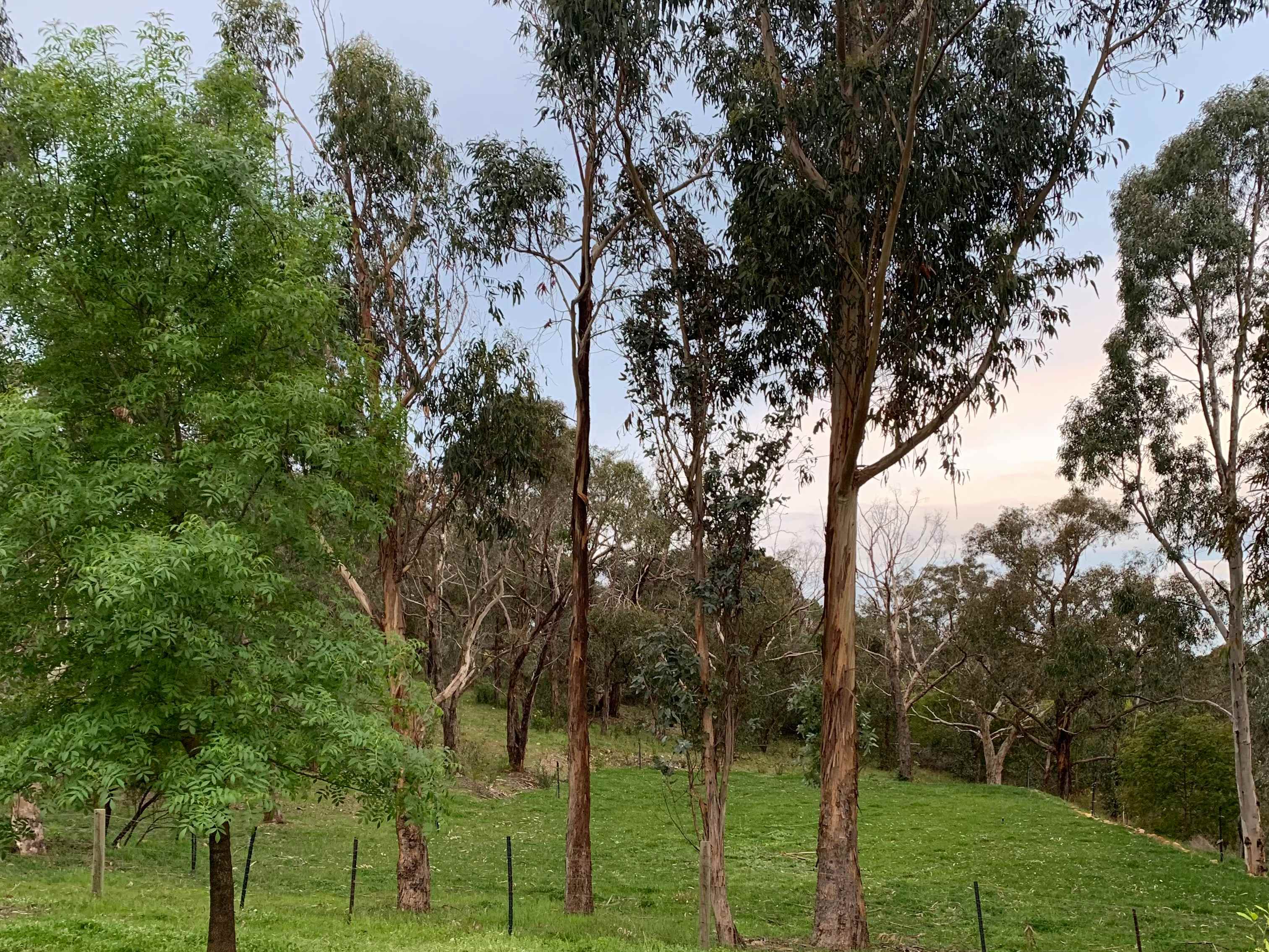 Bradbury Nature Retreat campsite in Spring