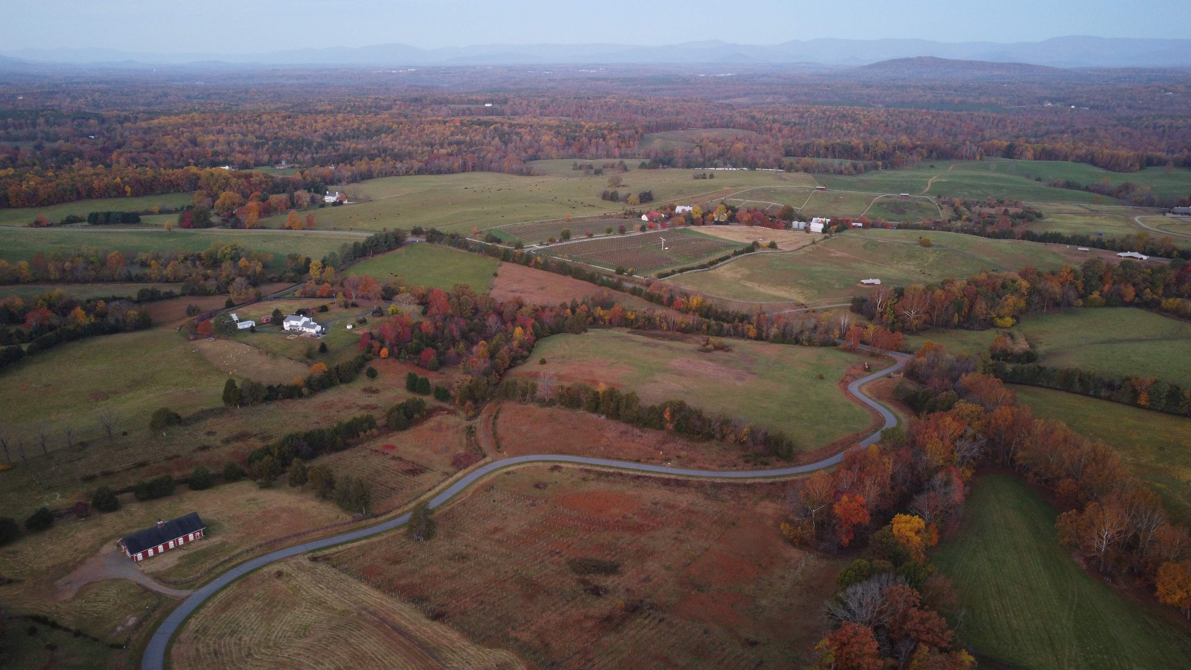 Prosperus Farm