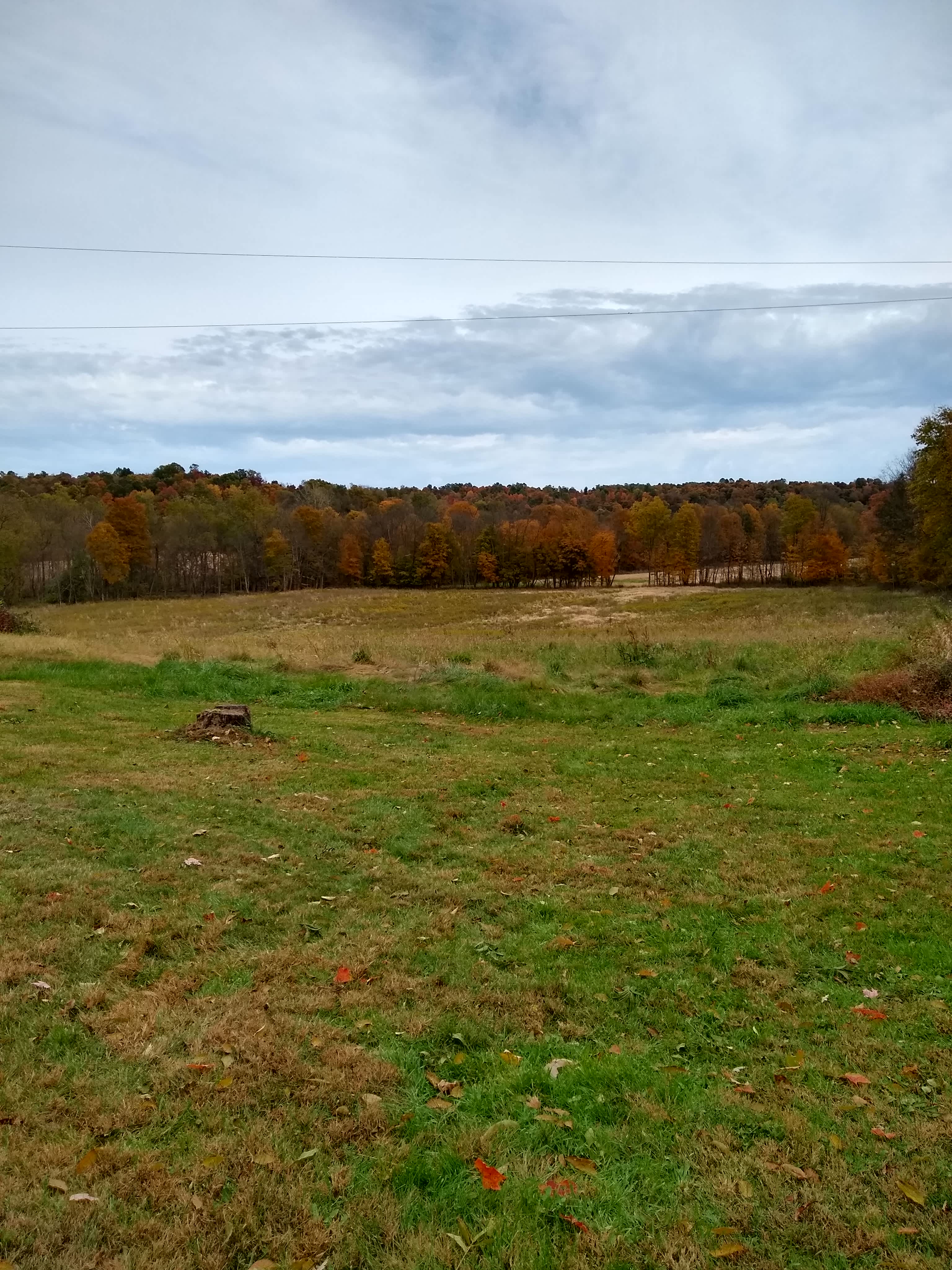 The Pleasant Valley Farm