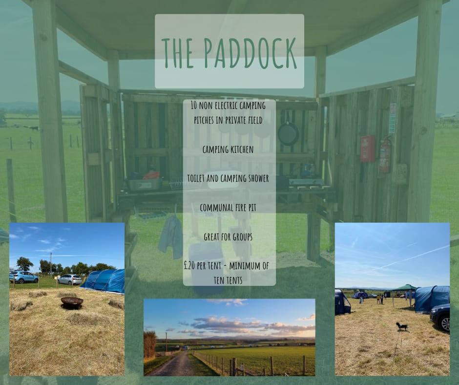 Camping at Cardewlees