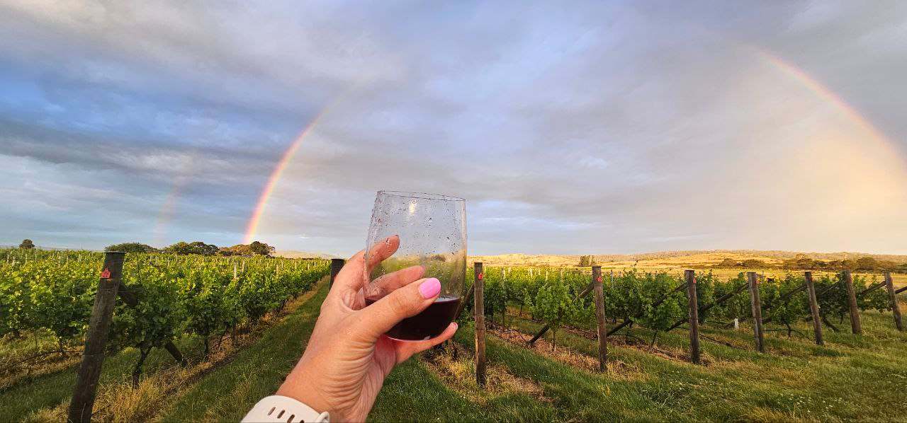 Craigie Knowe Vineyard