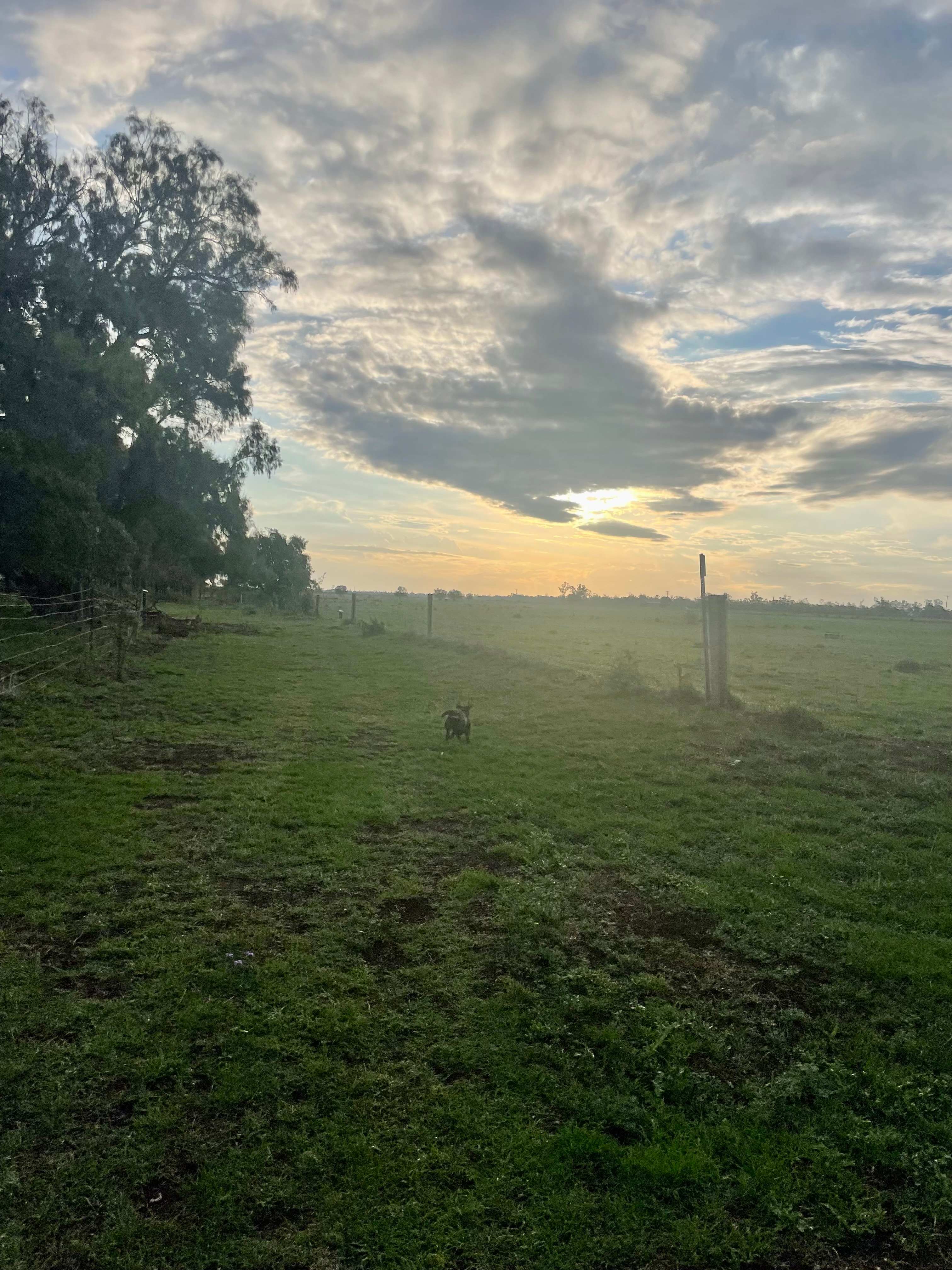 Waverley Historical Homestead