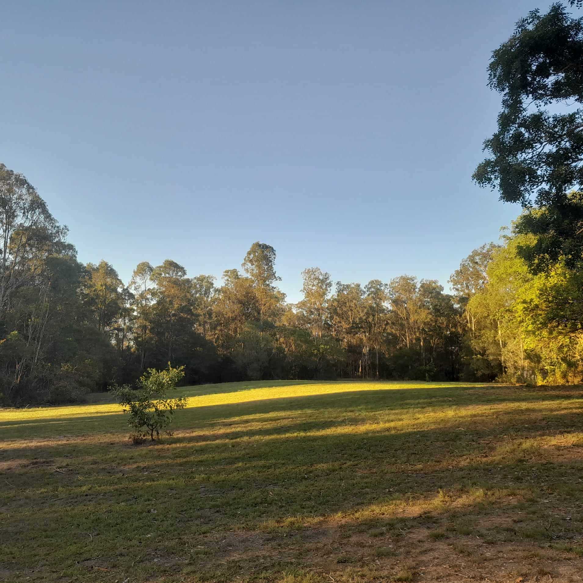 Fraser's field camping area