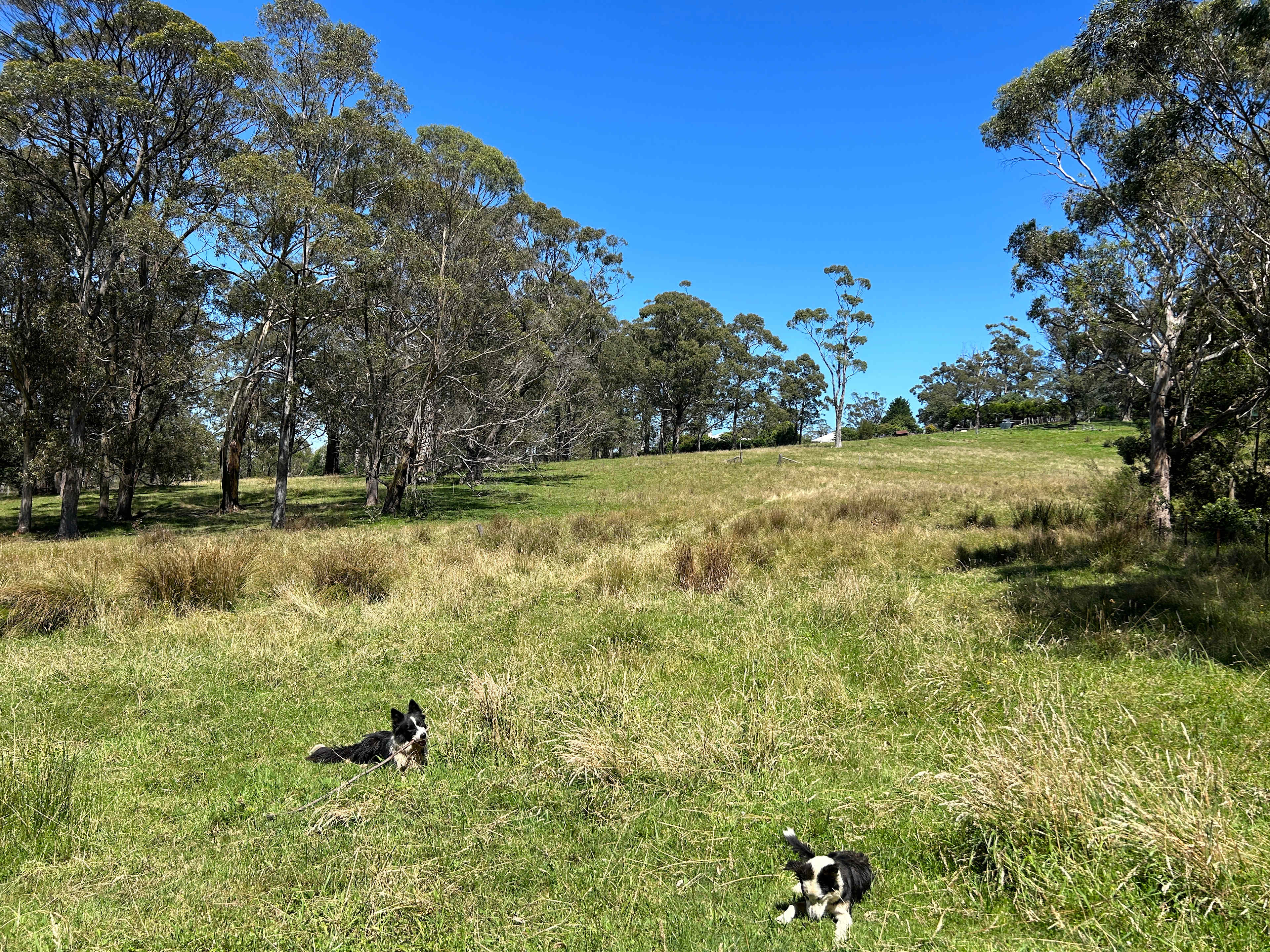 Massingham Farm