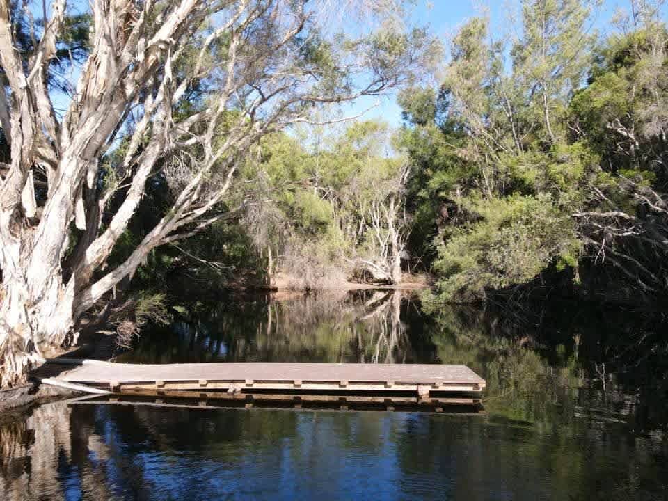 Paperbark Creek