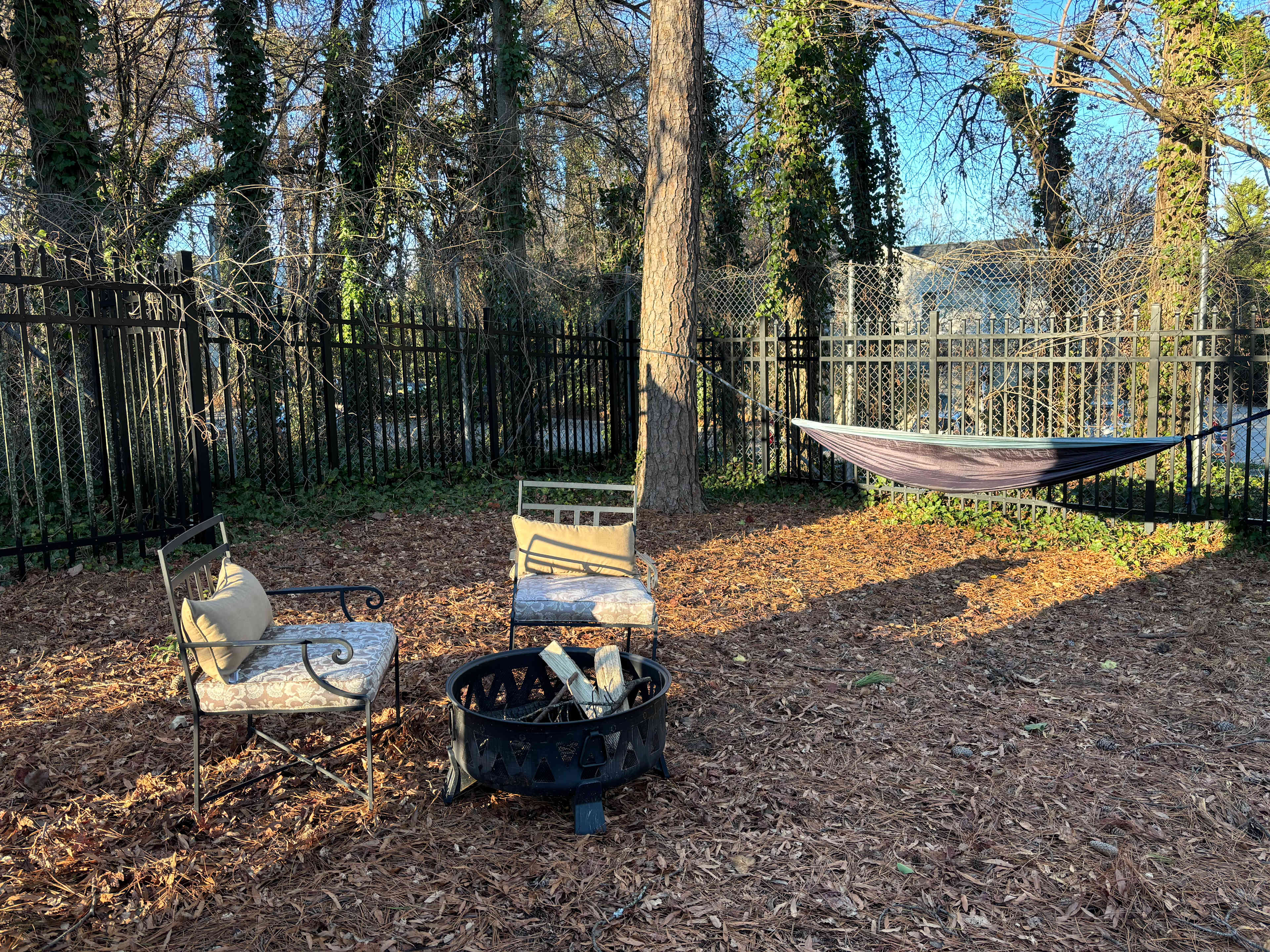 Picture of the site