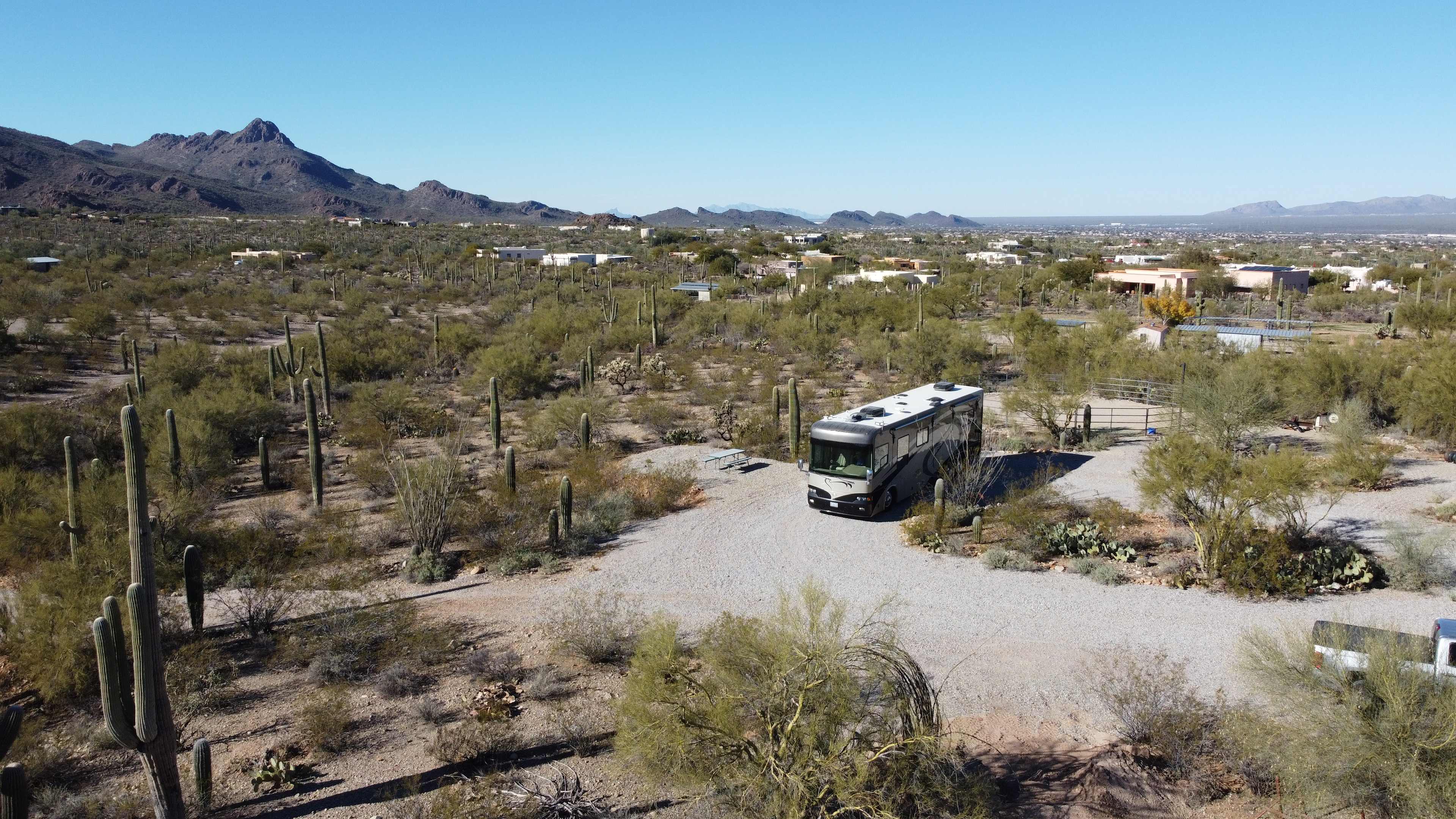 Saguaro View