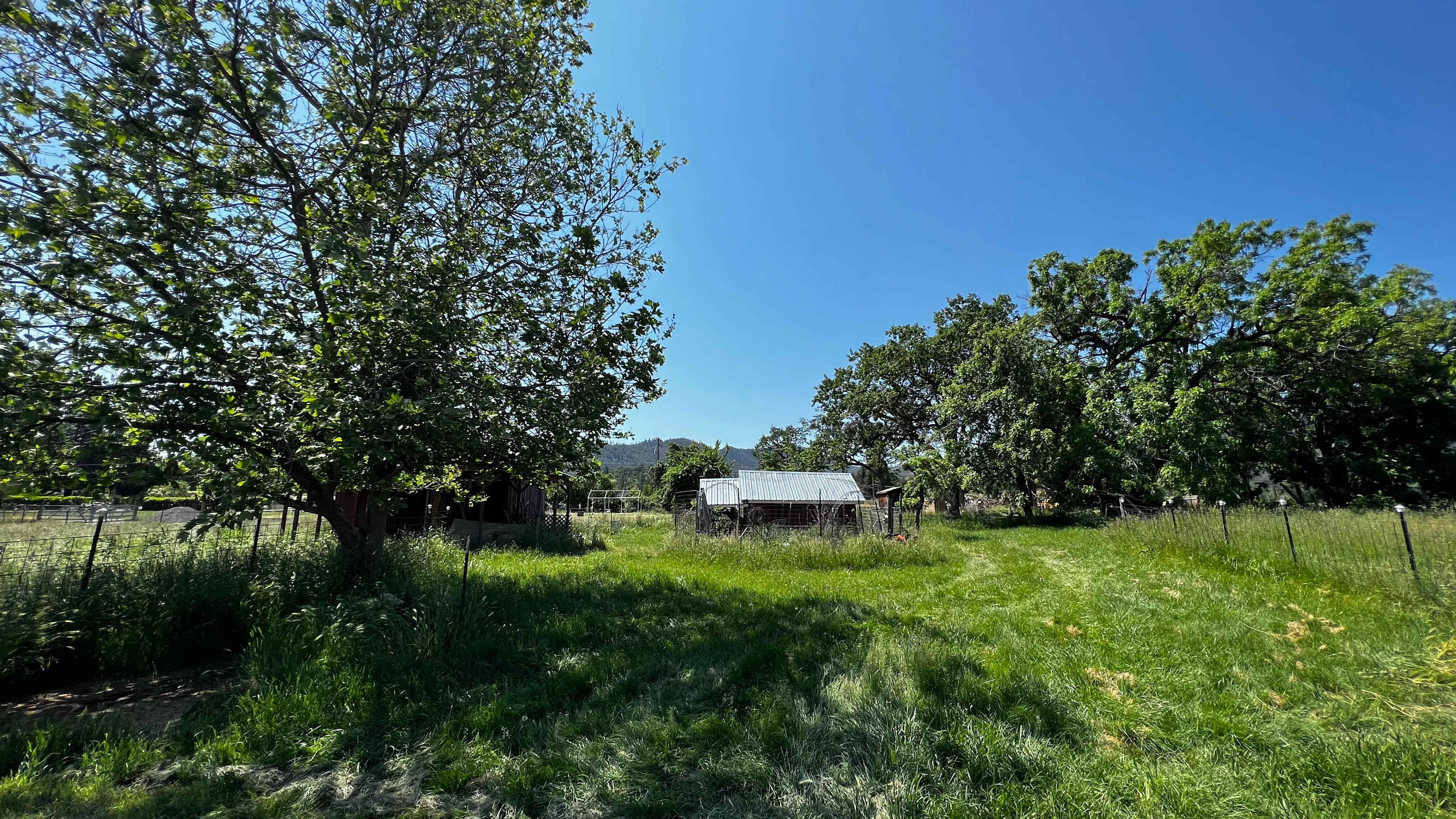 Medford Meadows Farm
