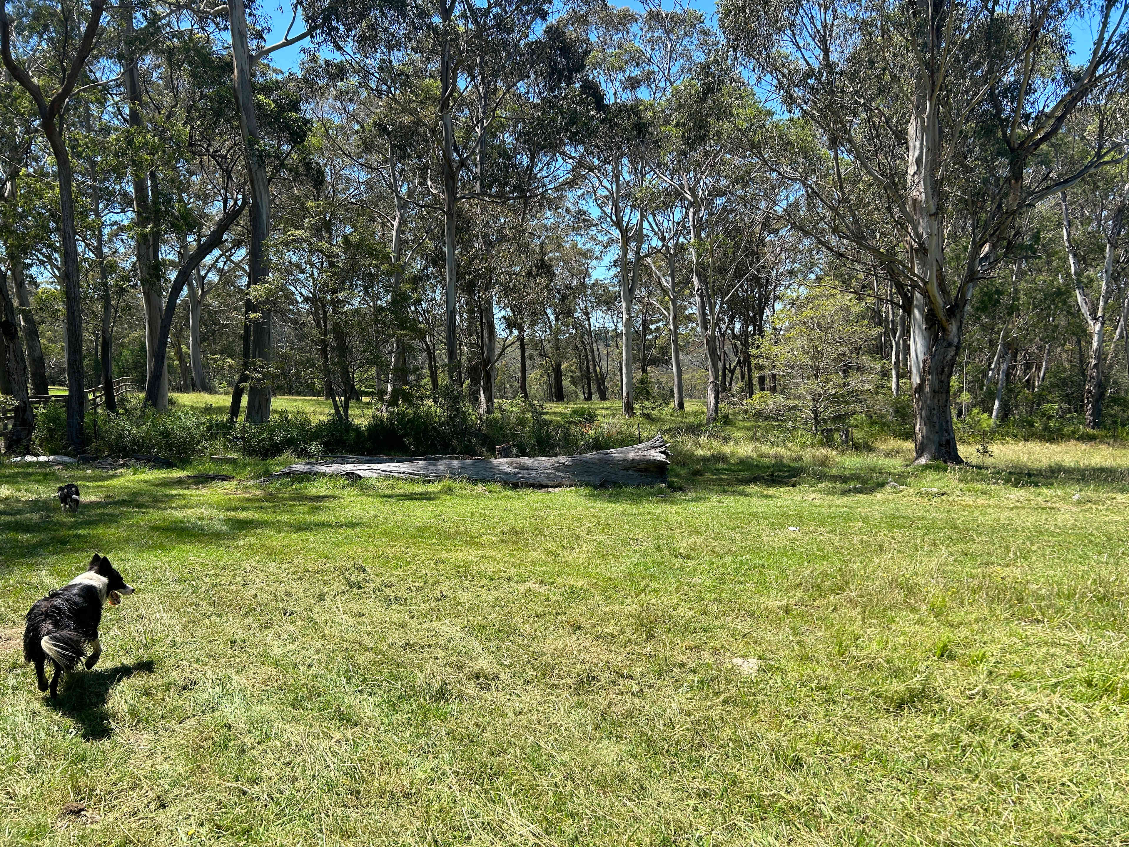 Massingham Farm