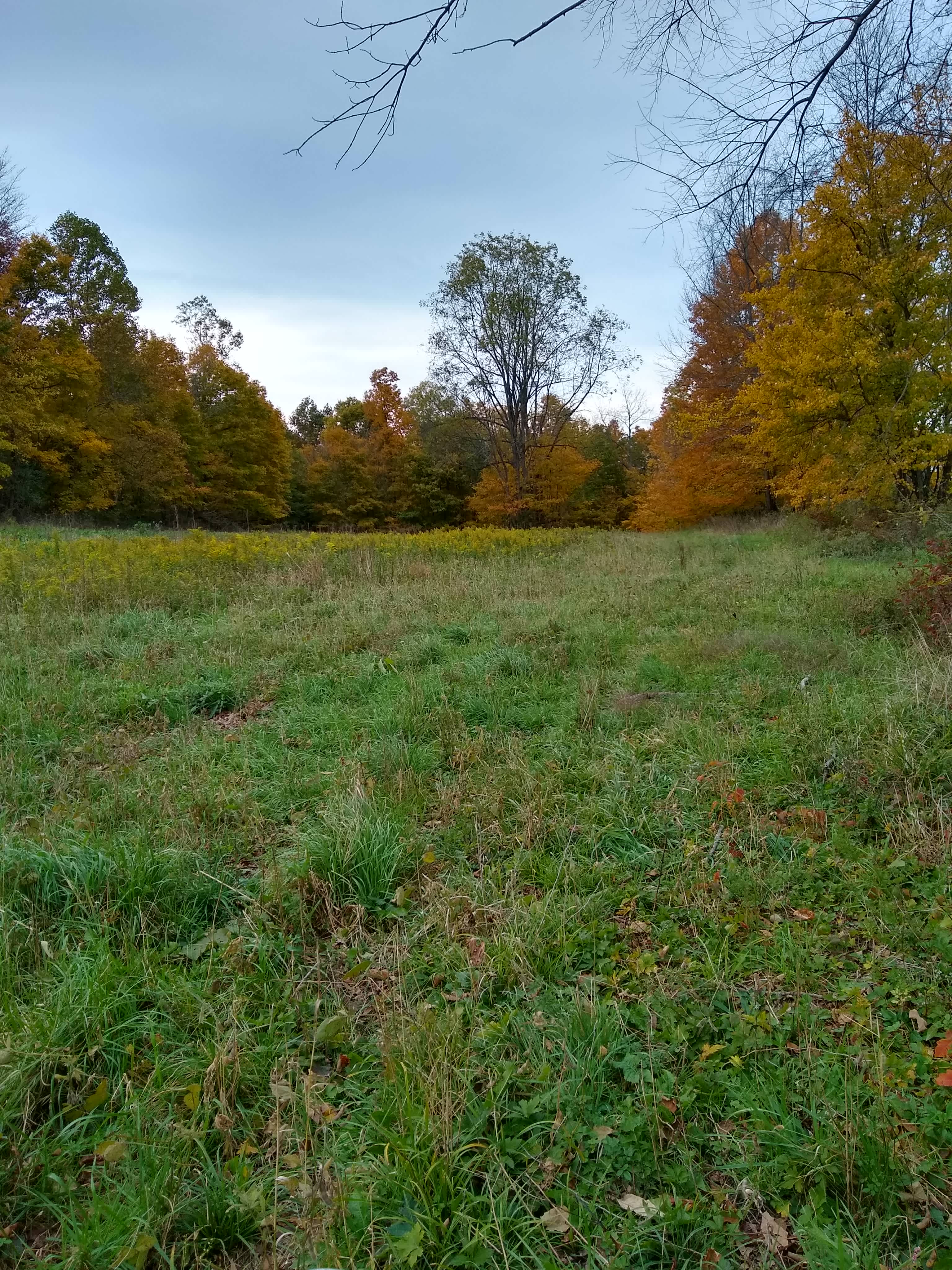 The Pleasant Valley Farm