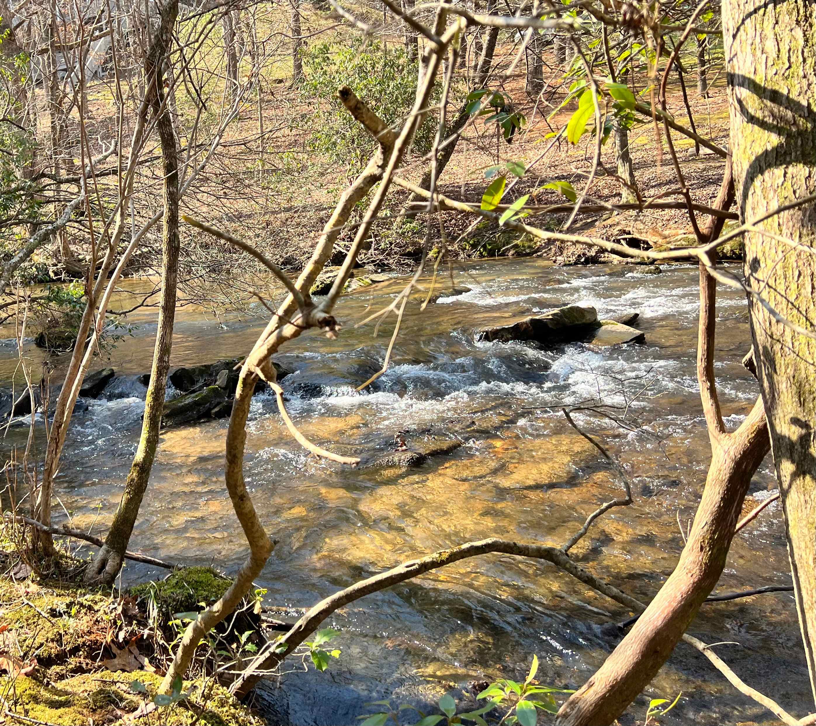 Babbling Brook RV Site