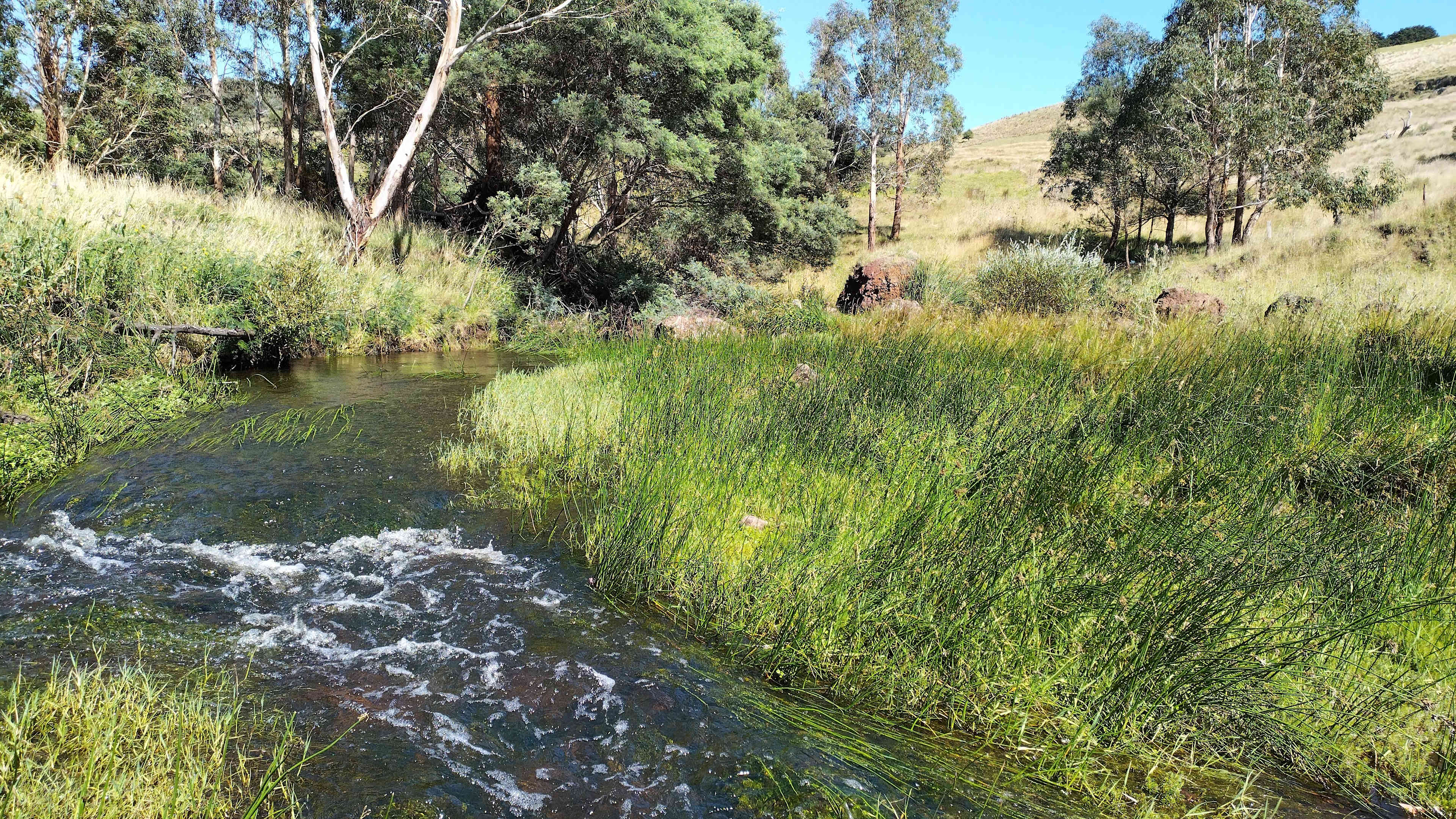 Summerleigh Homestead, circa 1876