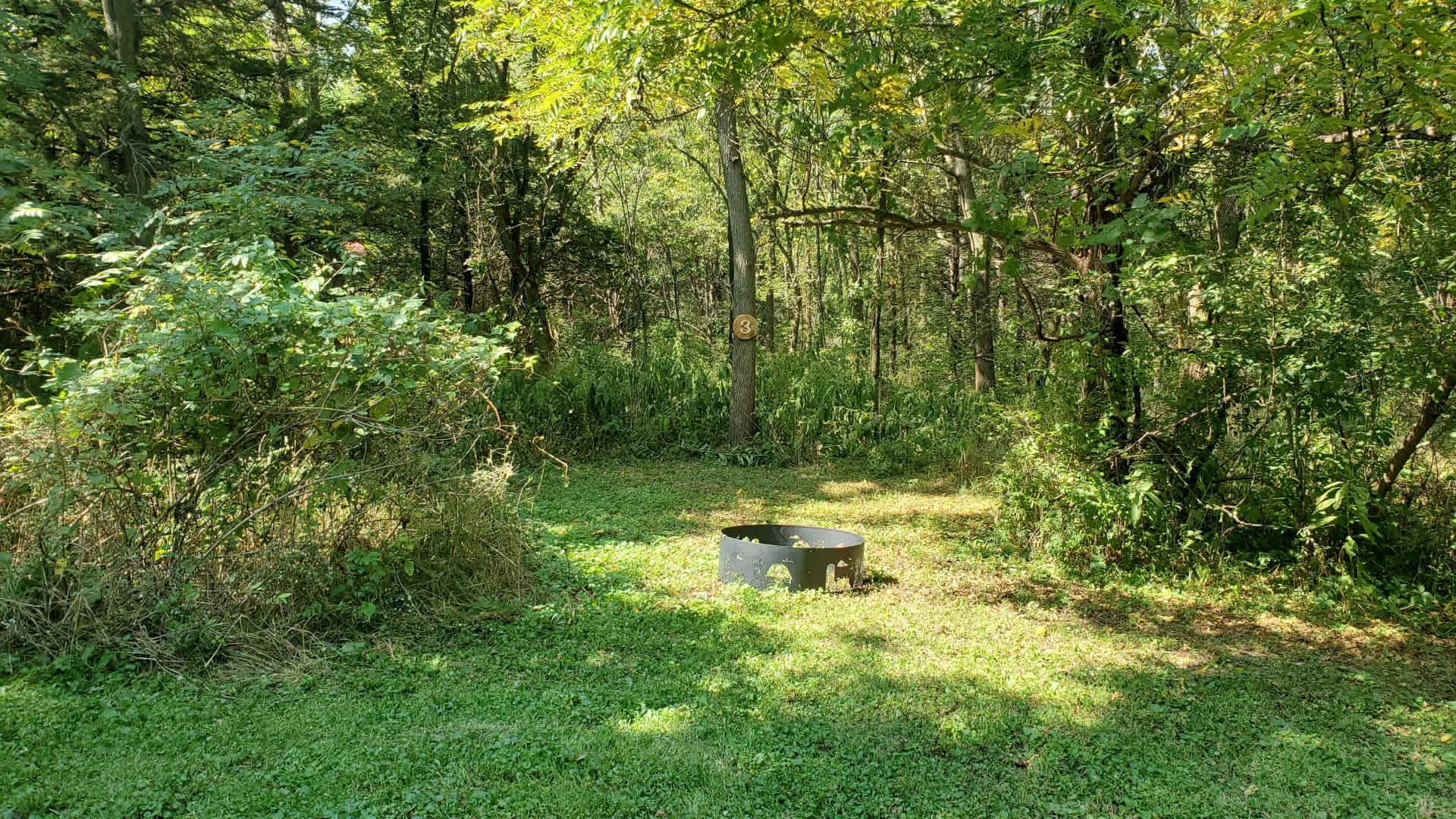 Angel Creek