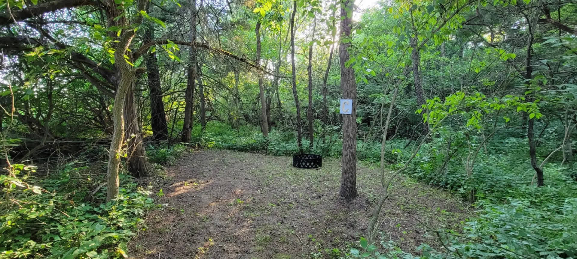 Picture of the site