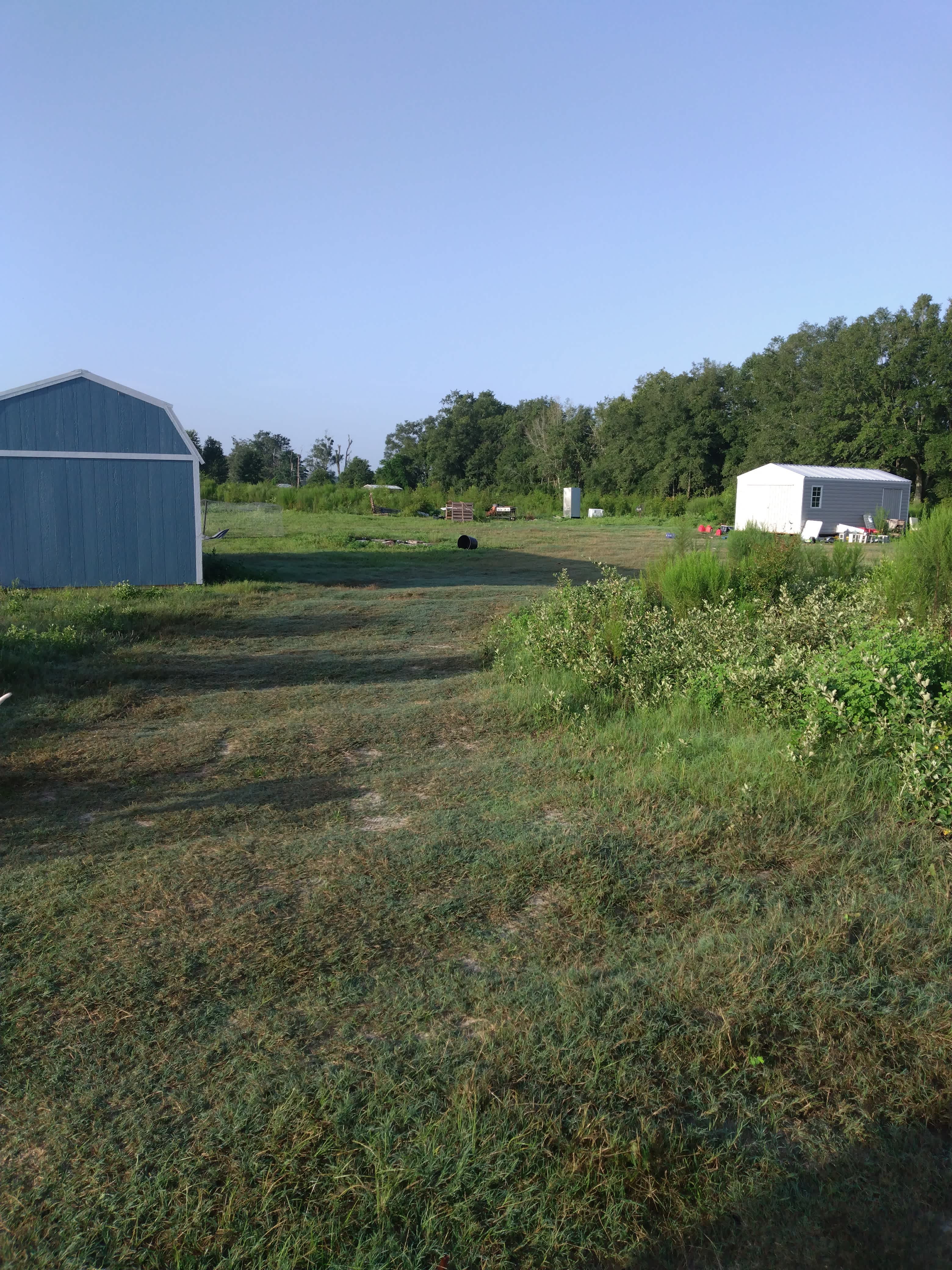 Peace Of Mind Acreage